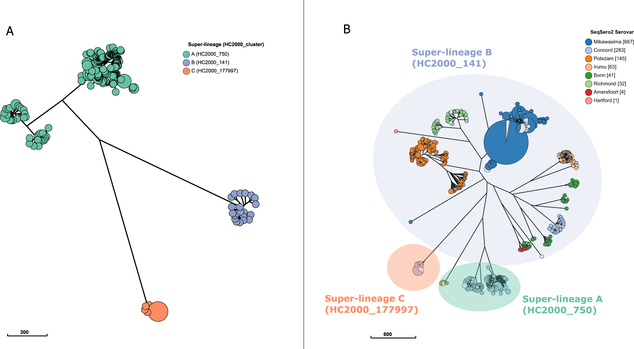 Genomic Analysis Of Salmonella Concord