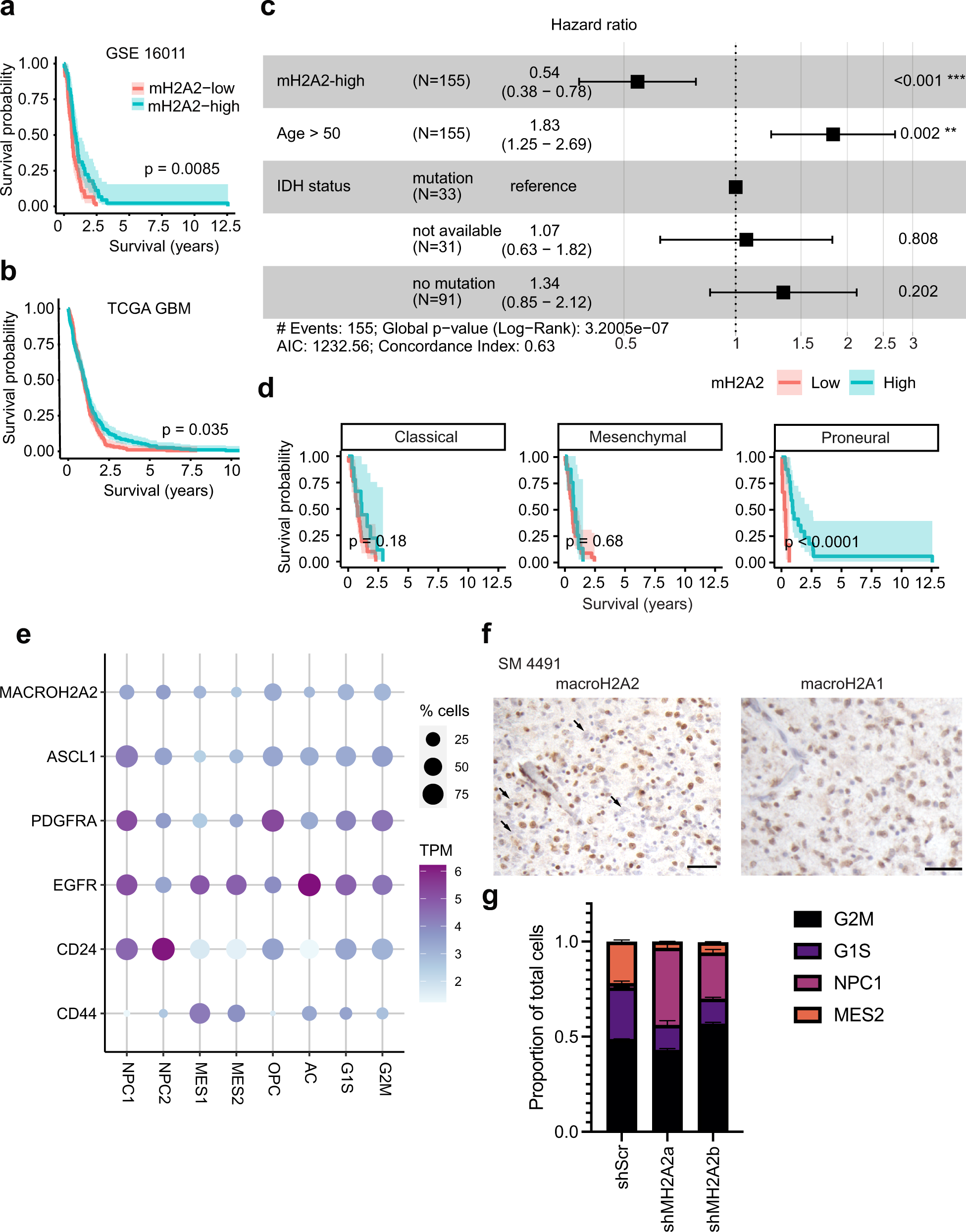 macroH2A2 antagonizes epigenetic programs of stemness in glioblastoma |  Nature Communications