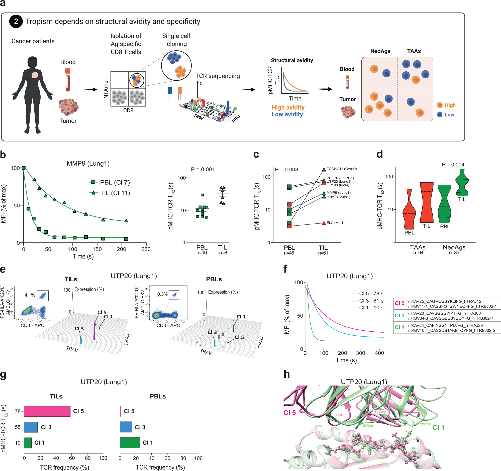 Fig. 2: Association between structural avidity and tumor tropism.