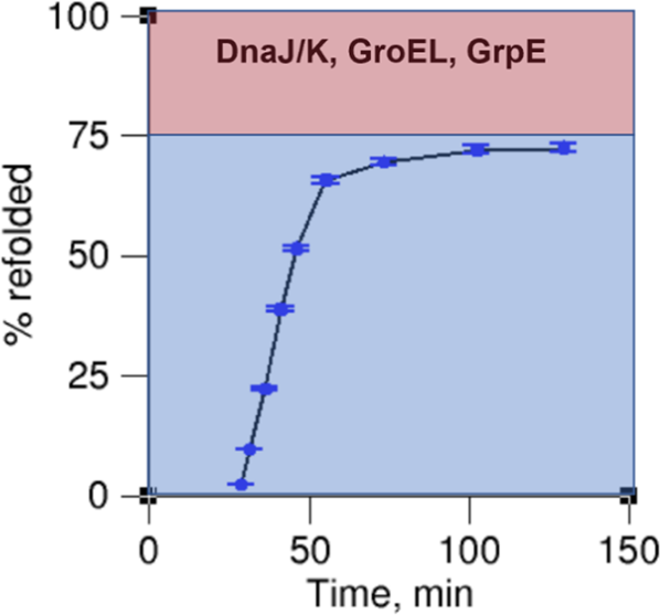 Fig. 2: An example time course of reactivation/refolding of soluble rhodanese in a mixture of the chaperones DnaJ/K, GroEL, and GrpE.