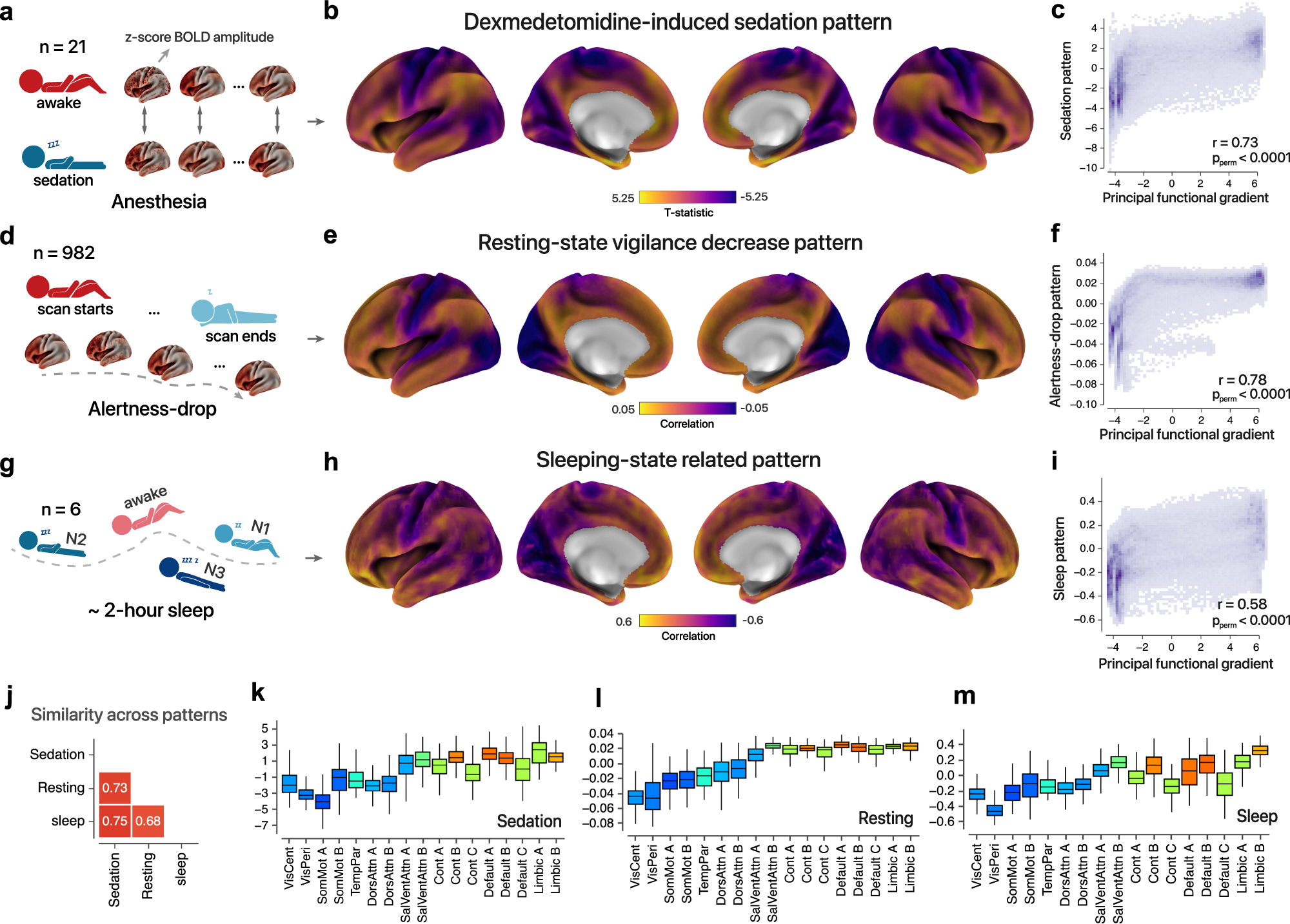 Hierarchical fluctuation shapes a dynamic flow linked to states of  consciousness | Nature Communications