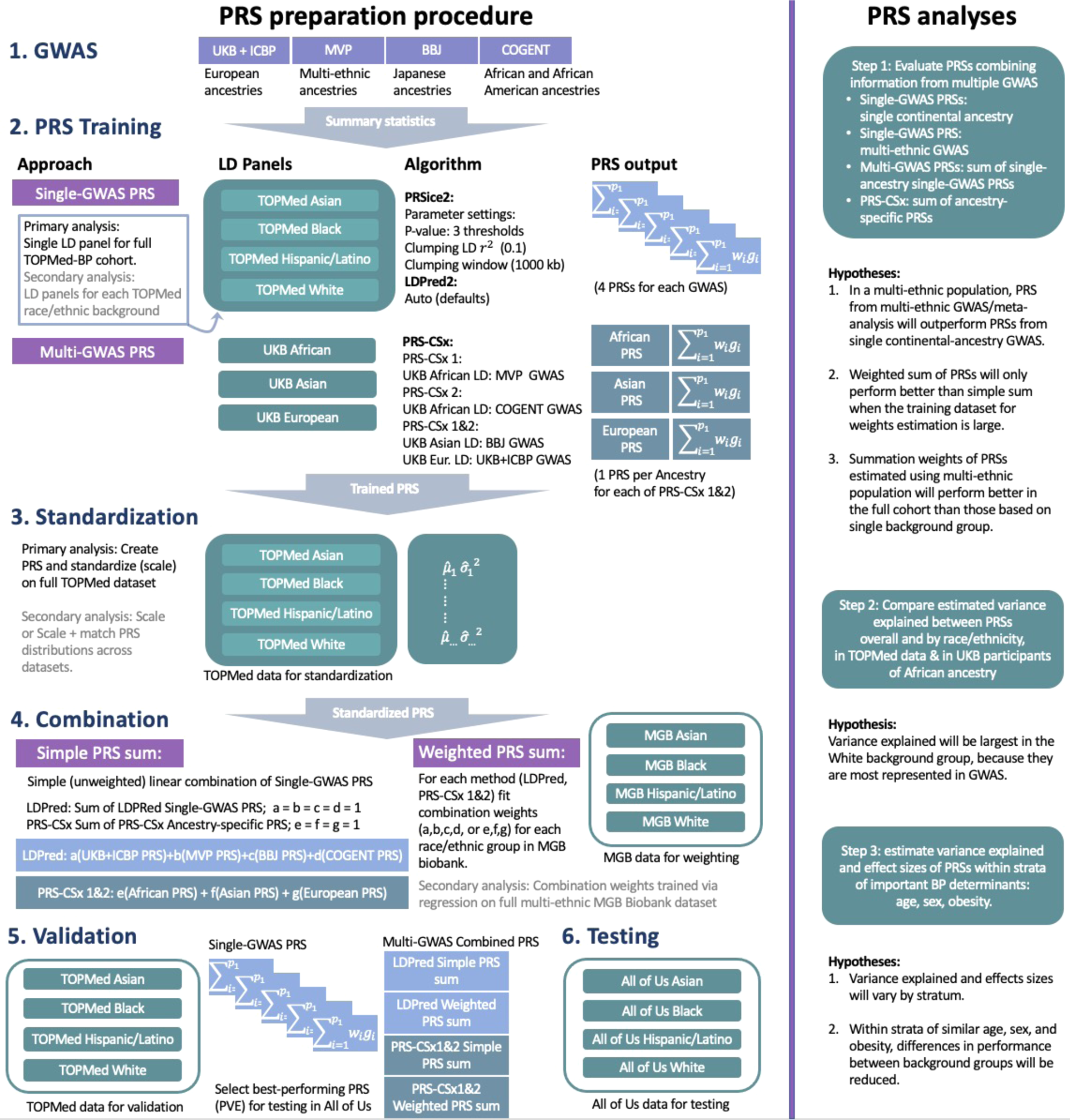 Fig. 1: PRS preparation and analyses steps.