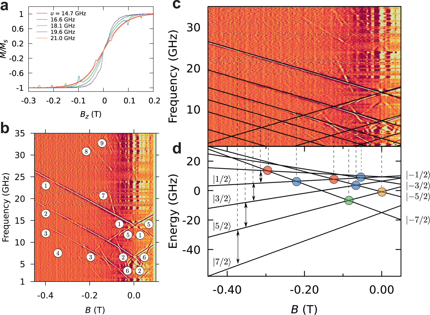 Fig. 3: µSQUID loops EPR.