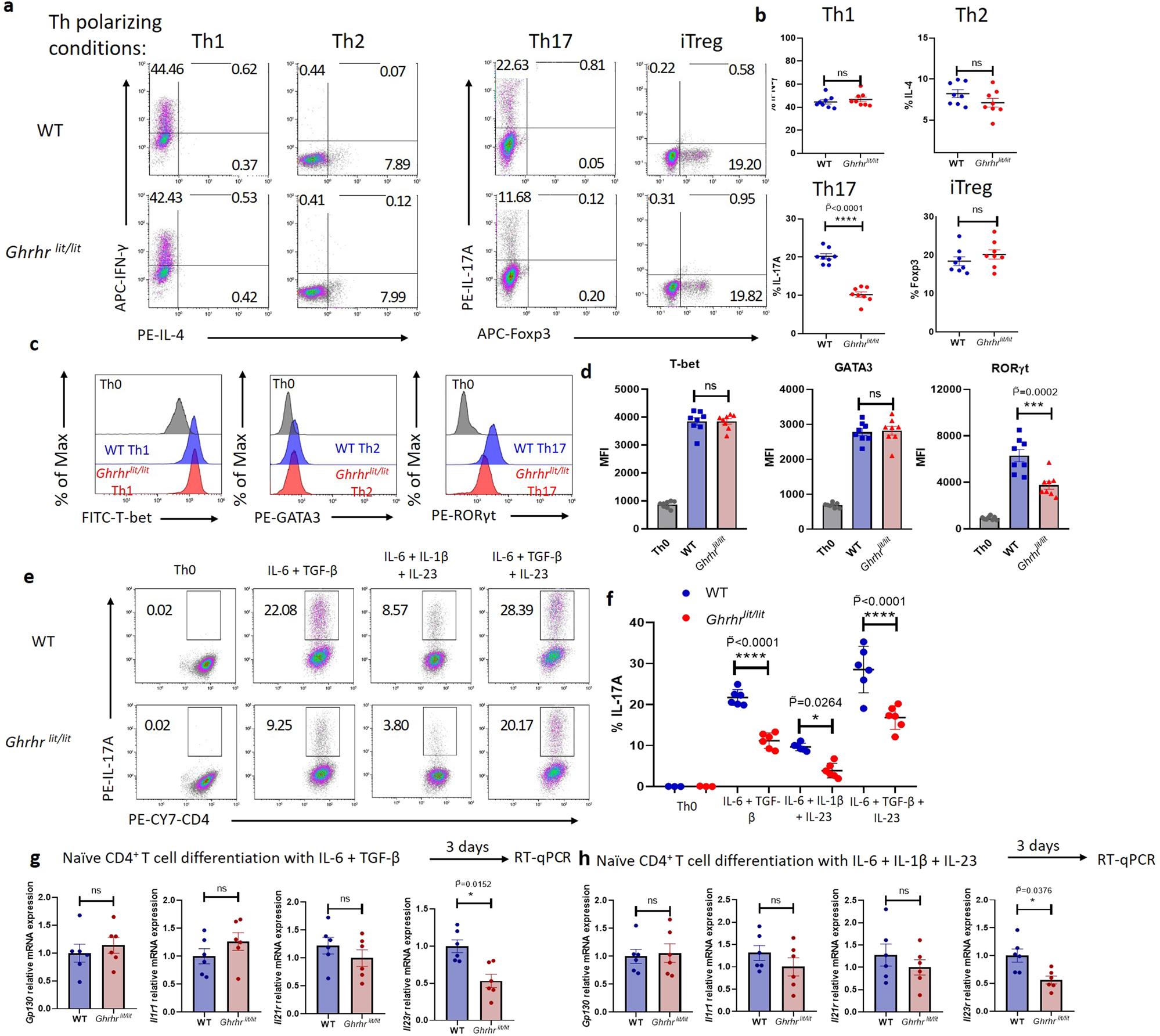 Fig. 4: GHRH-R is required for Th17 cell differentiation in vitro.