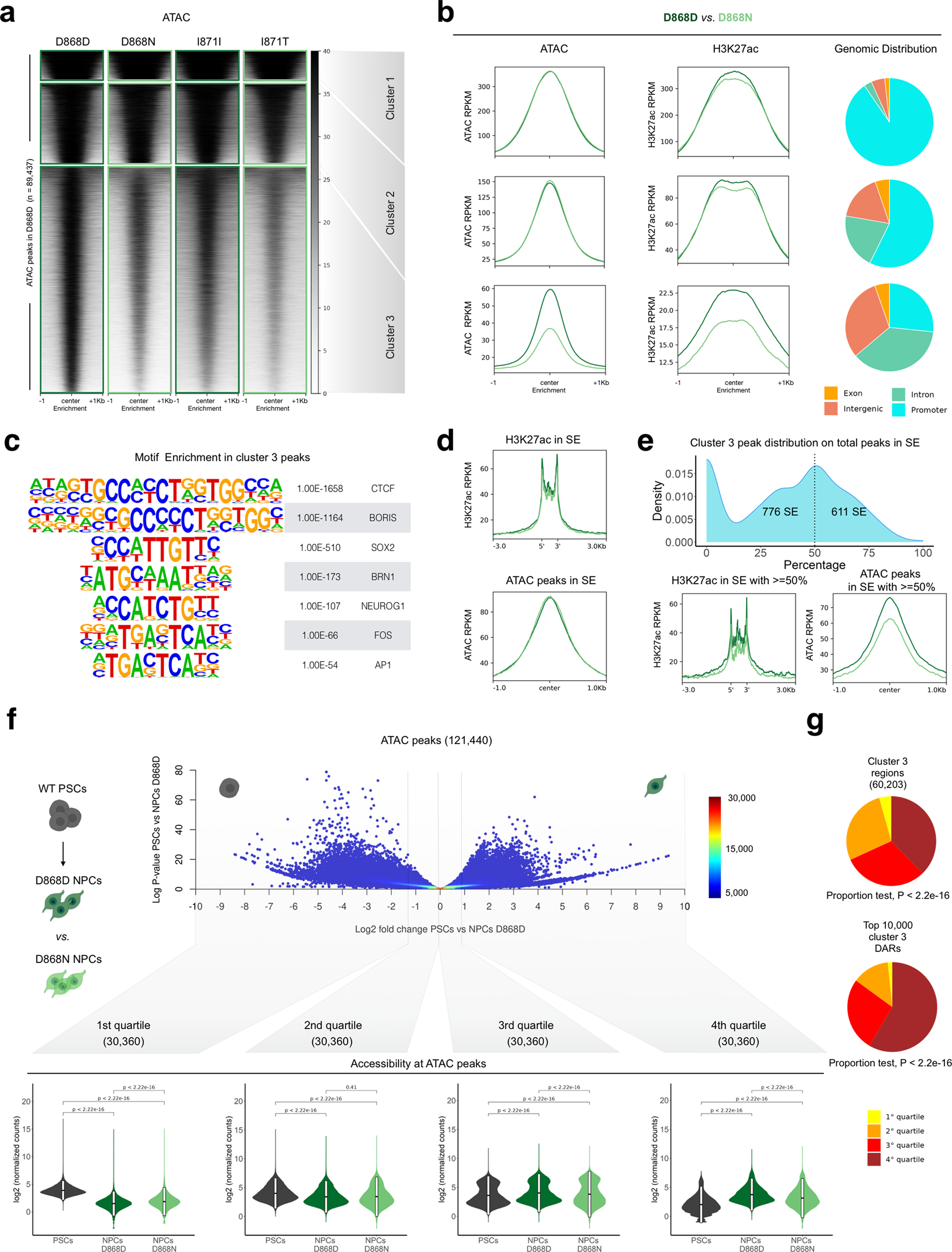 Fig. 2: SET accumulation impairs chromatin accessibility at distal regulatory region.