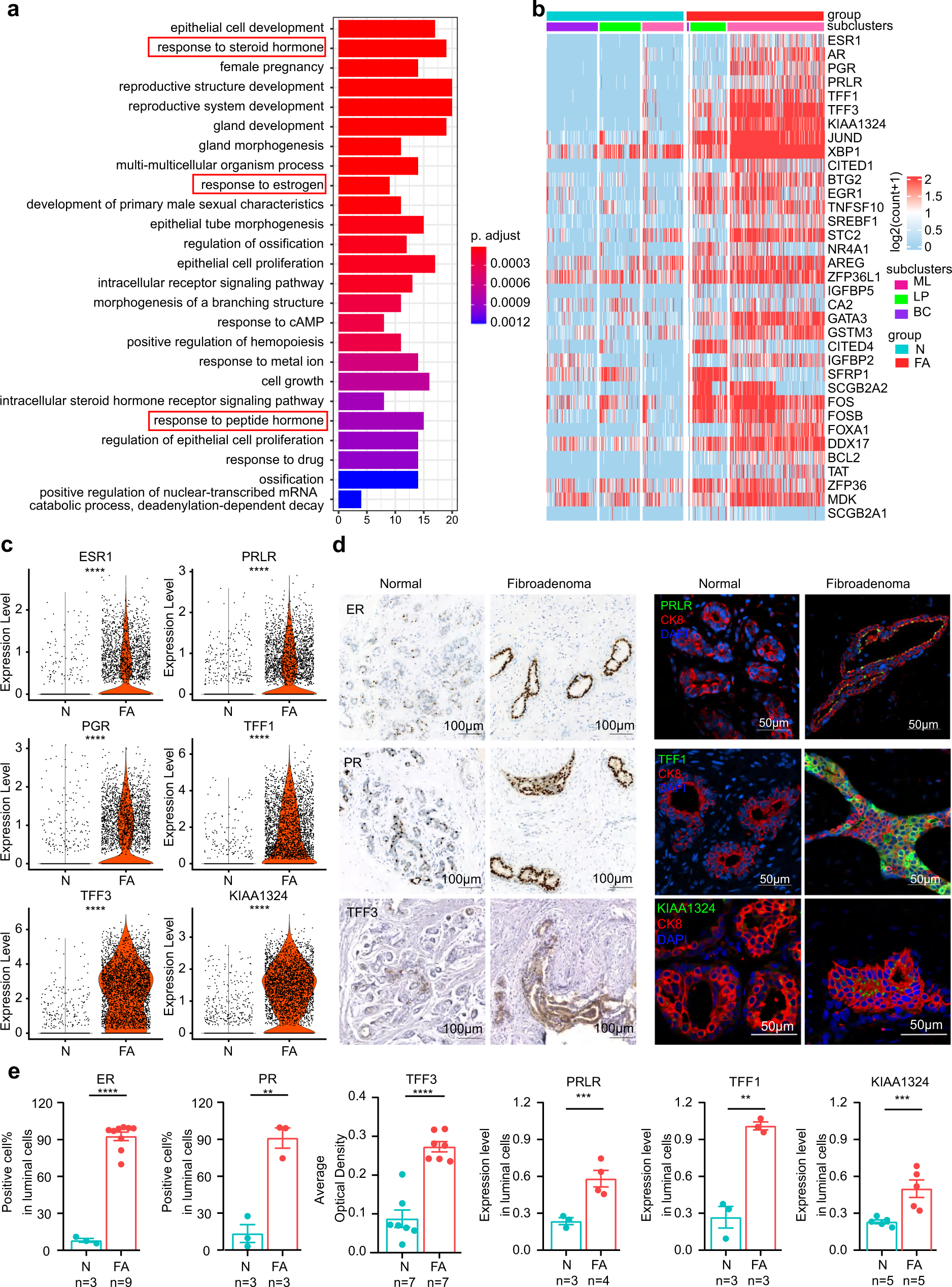 Fig. 2: Hormone-responsive functional signatures in the epithelium of human breast fibroadenomas.