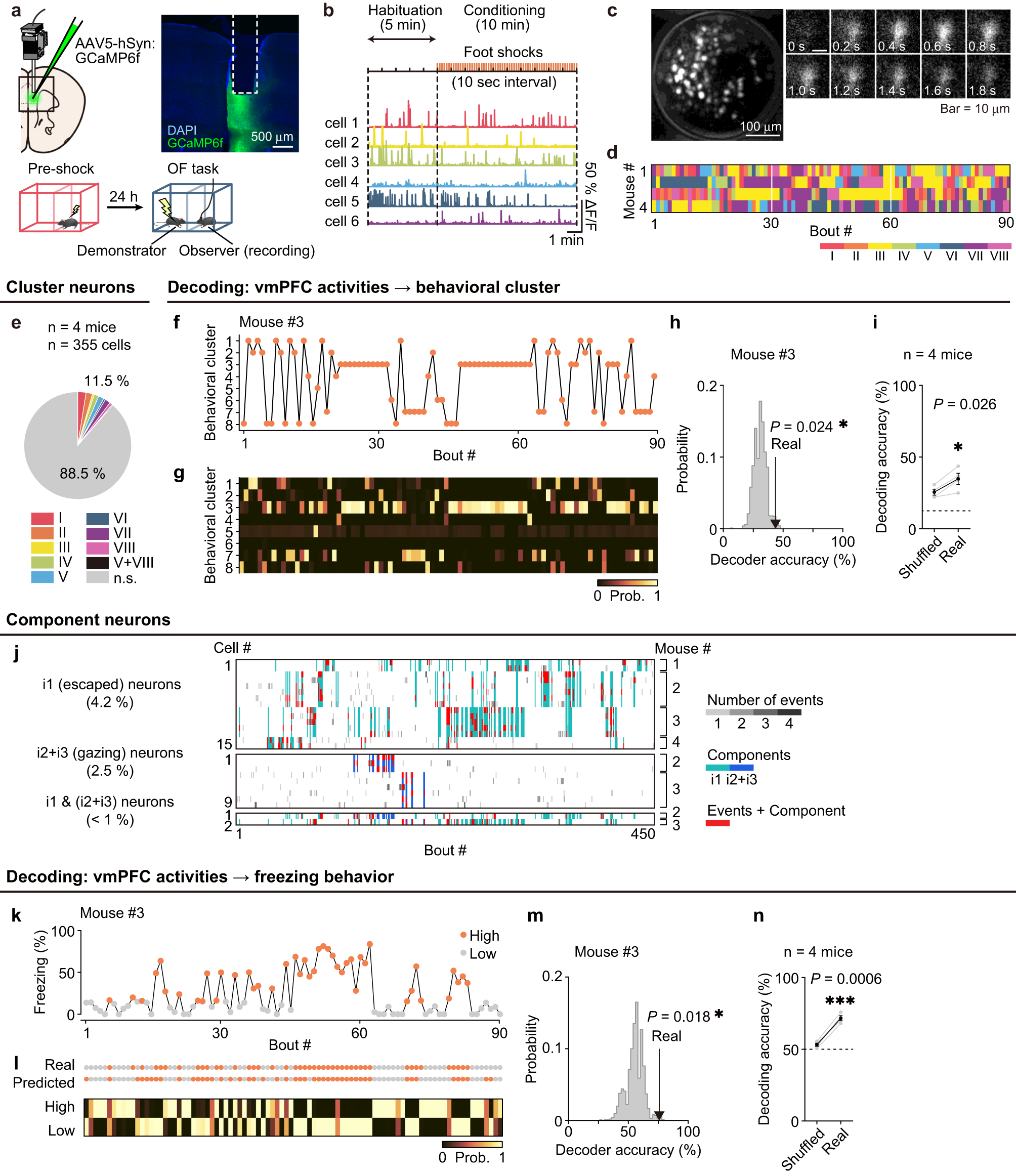 Fig. 4: Behavioral cluster and freezing encoding in the vmPFC.