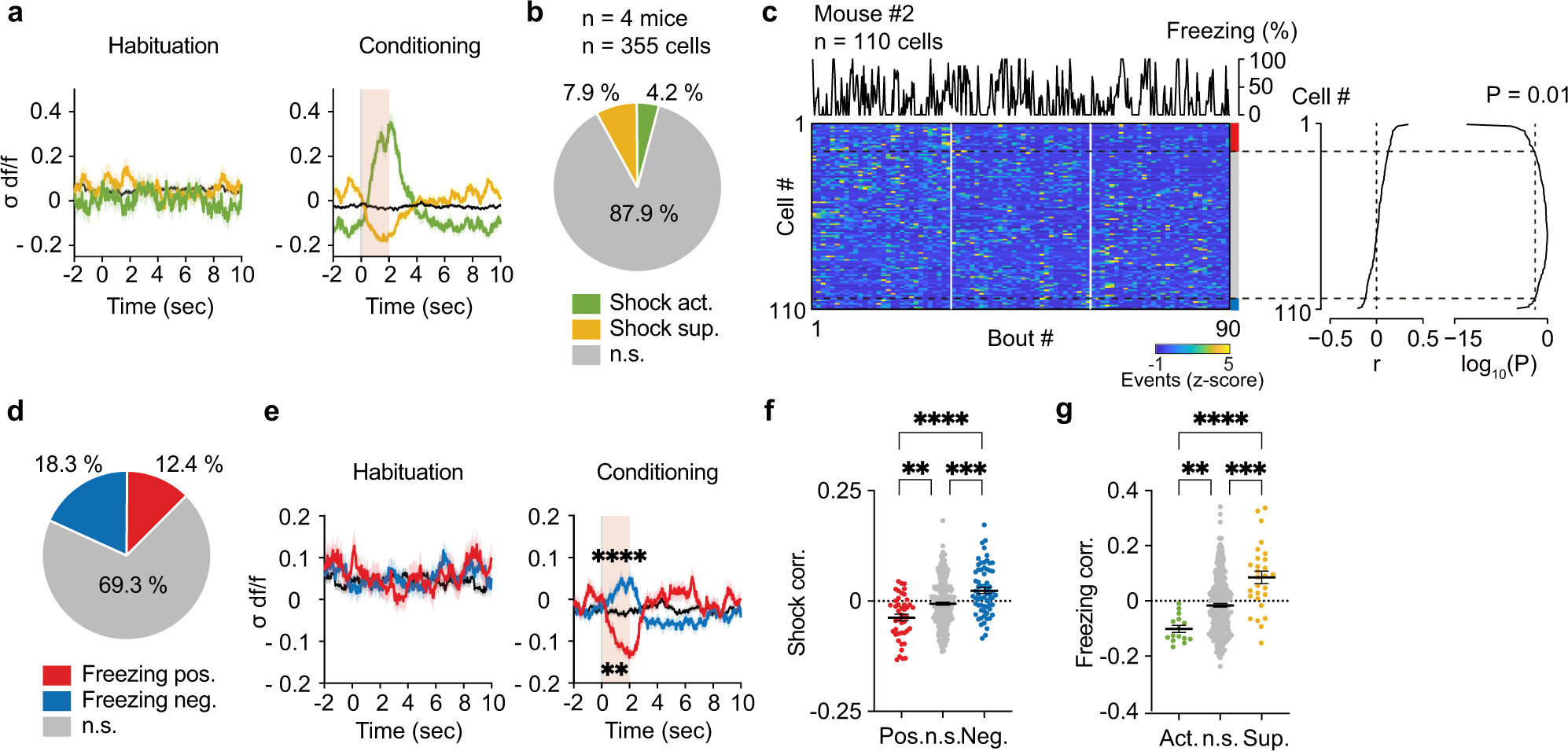 Fig. 5: Other-shock and self-freezing encoding in the vmPFC.