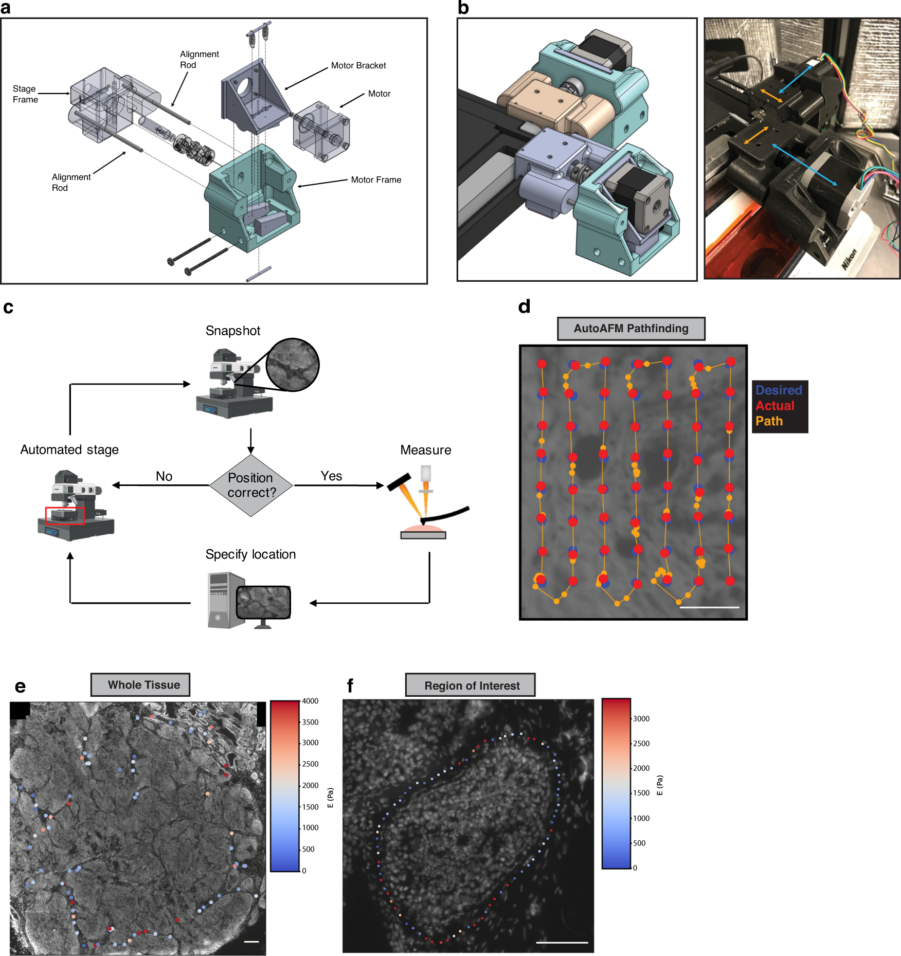 A convolutional neural network STIFMap reveals associations between stromal  stiffness and EMT in breast cancer | Nature Communications