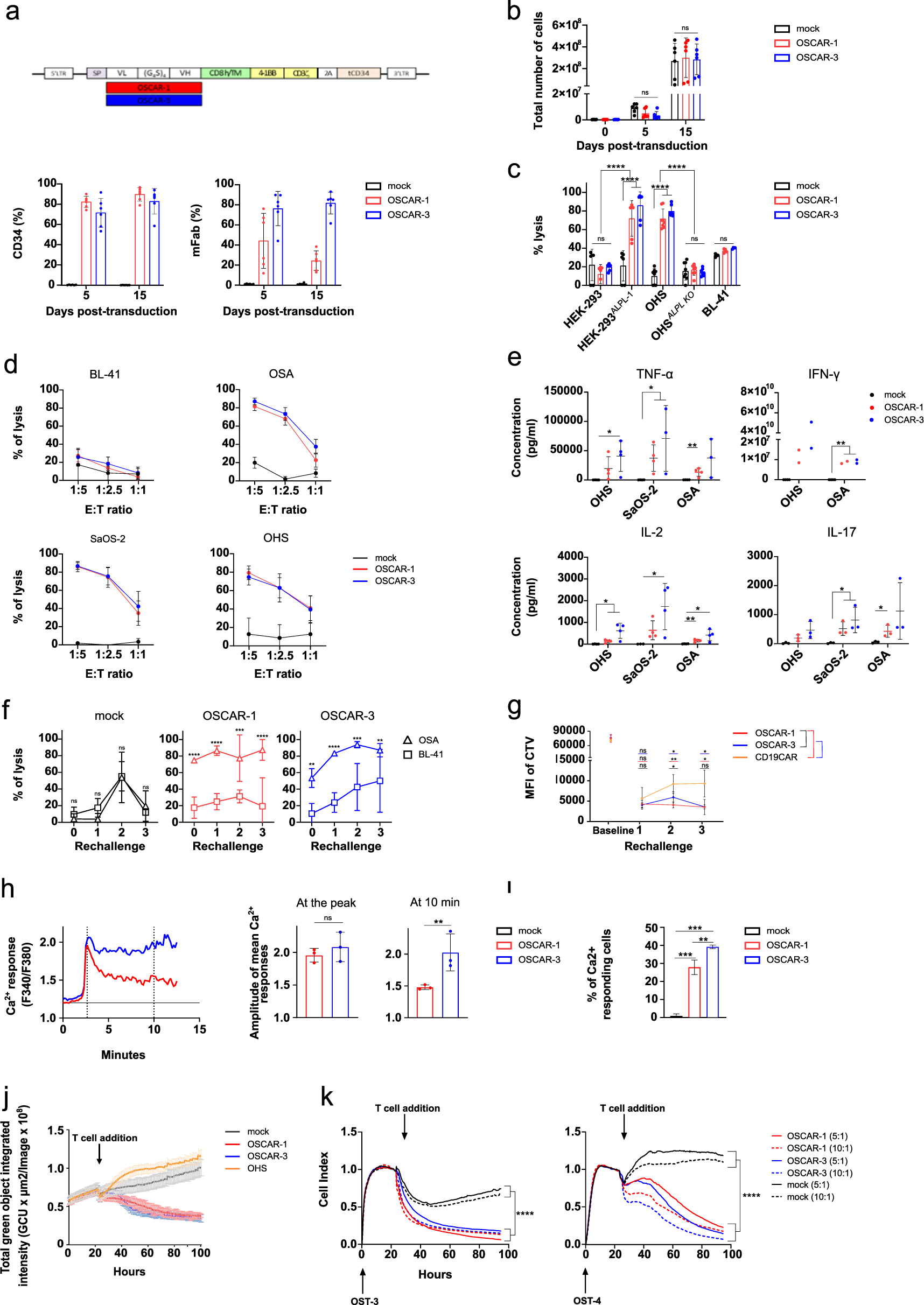 Fig. 2: OSCAR T cell characterization.