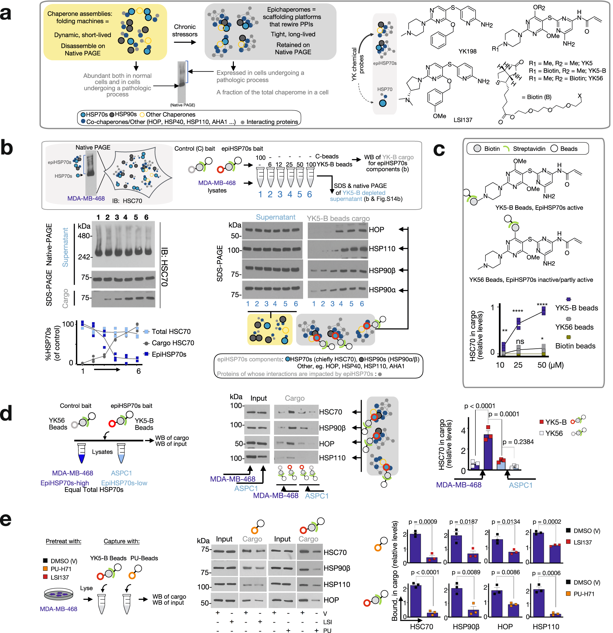 https://media.springernature.com/full/springer-static/image/art%3A10.1038%2Fs41467-023-39241-7/MediaObjects/41467_2023_39241_Fig1_HTML.png