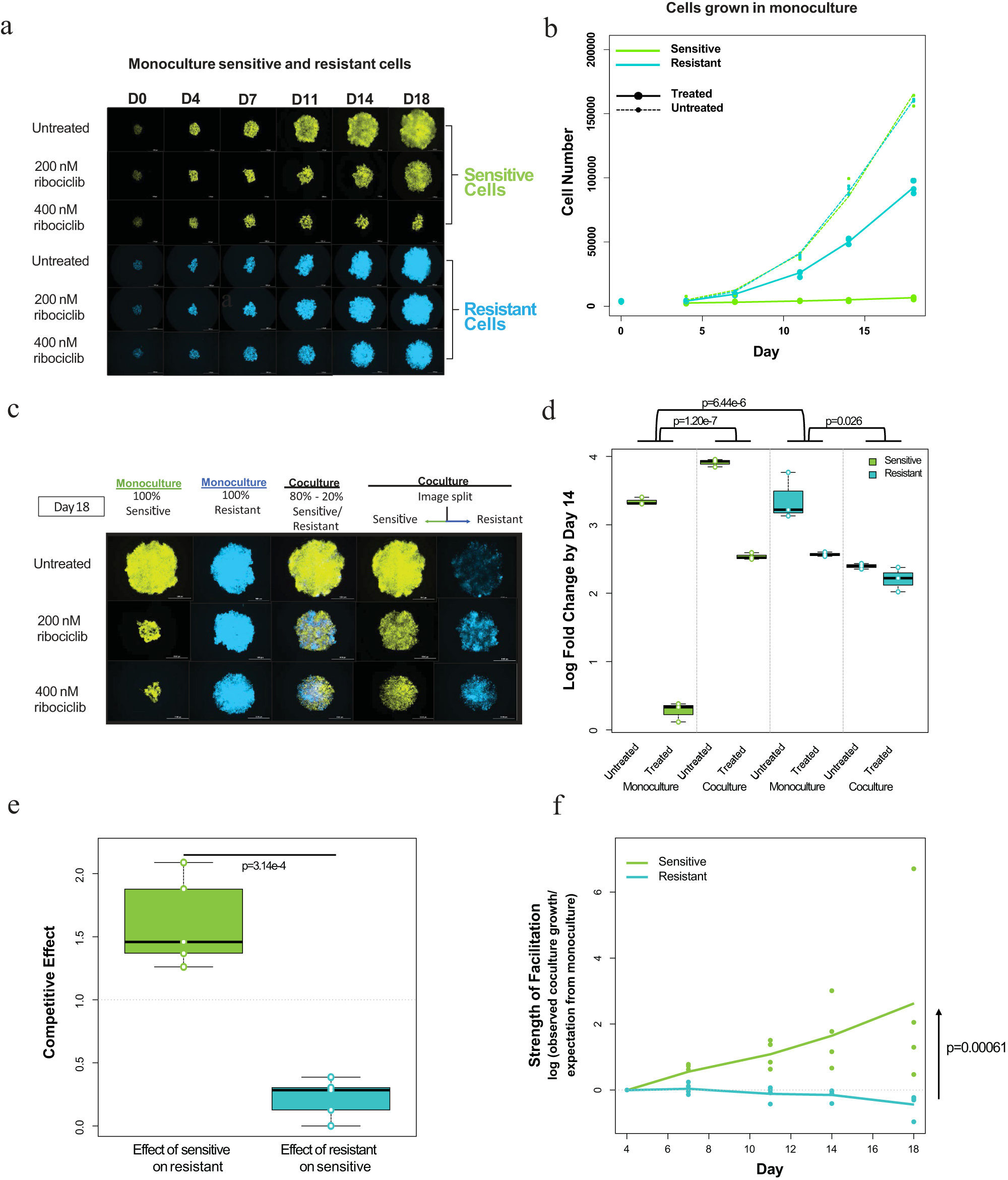 Fig. 1: Sensitive and resistant cell growth, treatment effects, and ribociclib-induced facilitation.