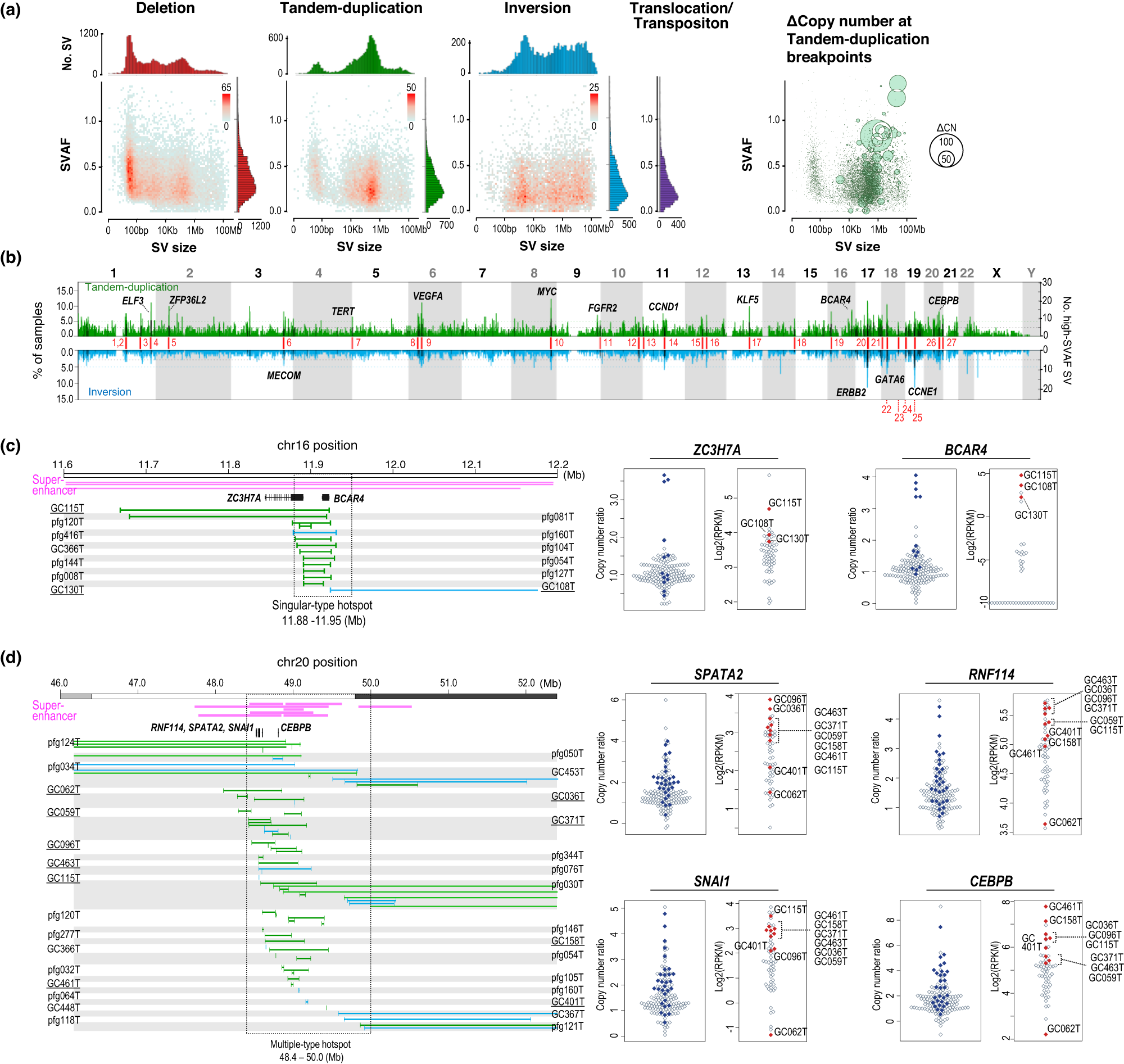 Oncogenic structural aberration landscape in gastric cancer genomes Nature Communications