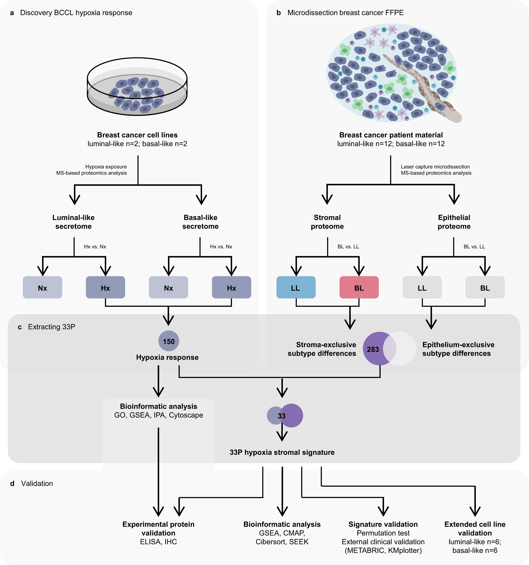 Hypoxia induced responses are reflected in the stromal proteome of breast  cancer