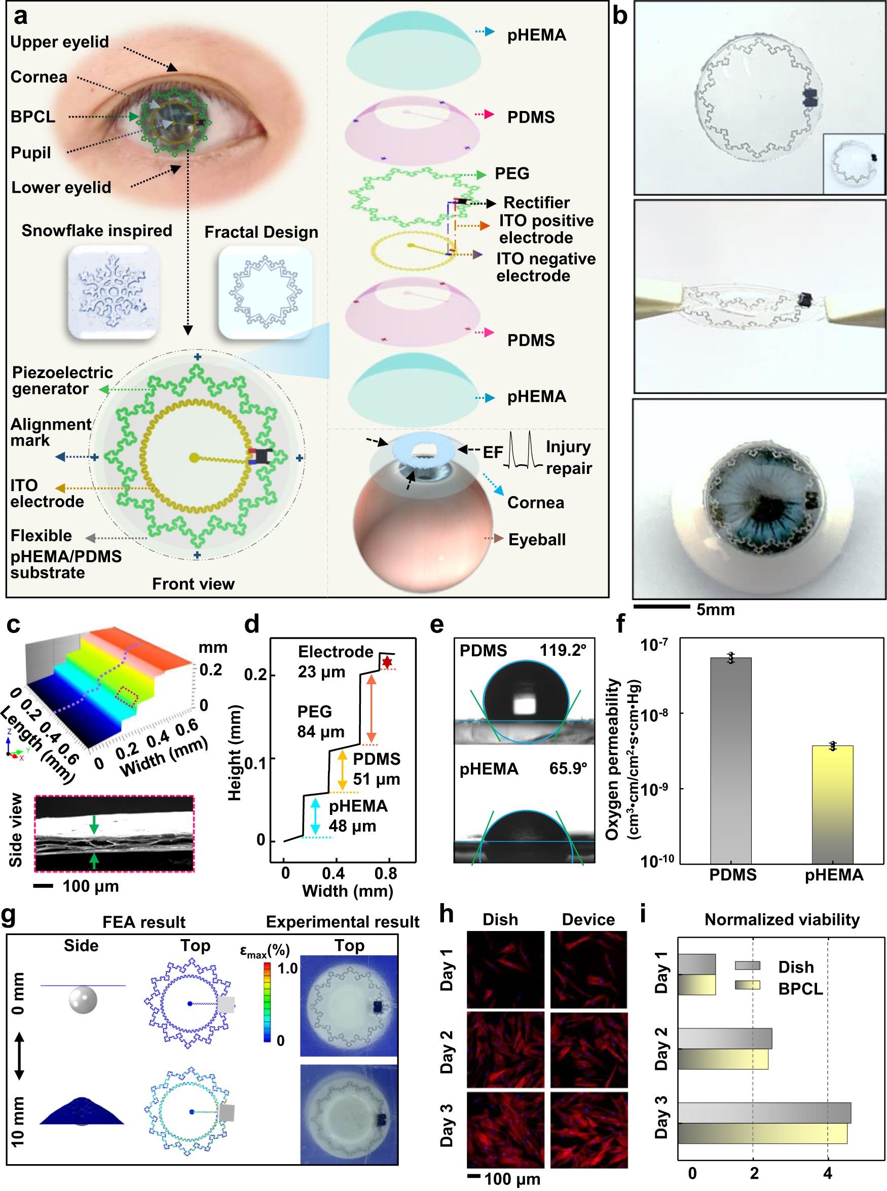 Snowflake-inspired and blink-driven flexible piezoelectric contact lenses for effective corneal injury repair Nature Communications pic