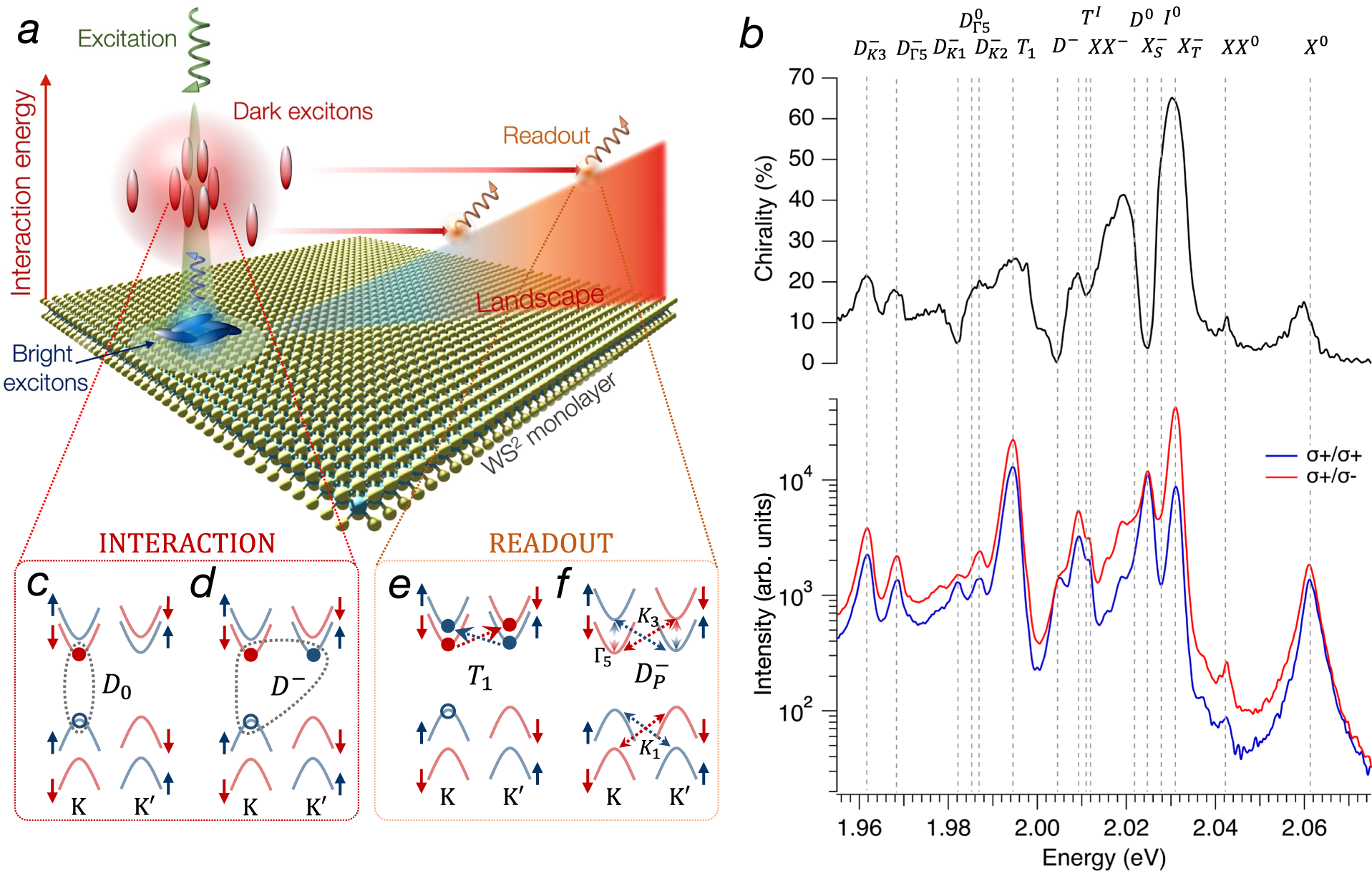 Fig. 1: Bright and dark exciton complexes in monolayer WS2.