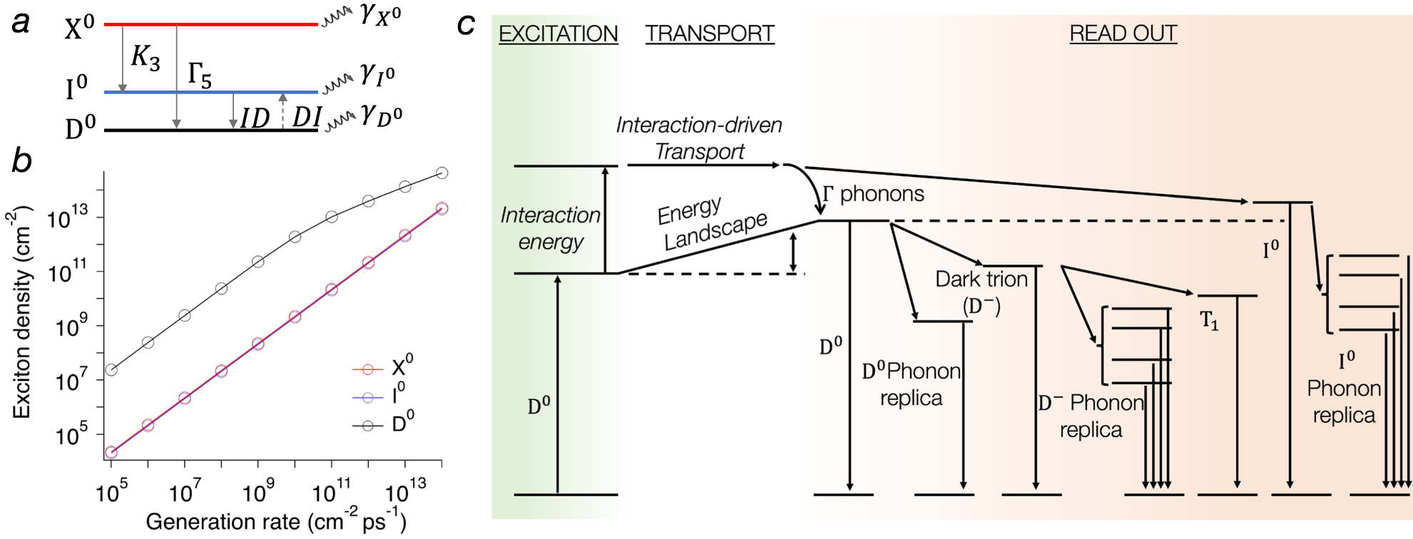 Fig. 5: Dark exciton interaction and relaxation paths.