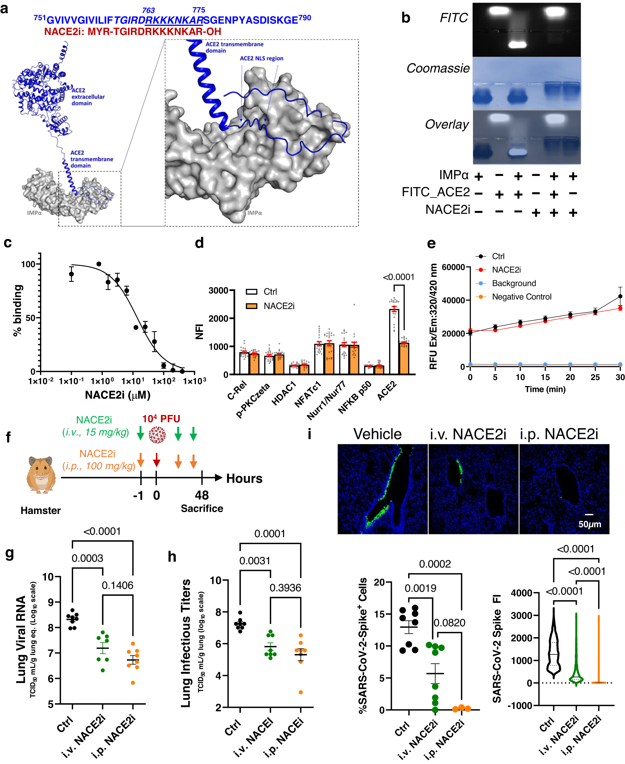 The In (vitro, vivo, silico)s and Outs of Research - InVivo Biosystems