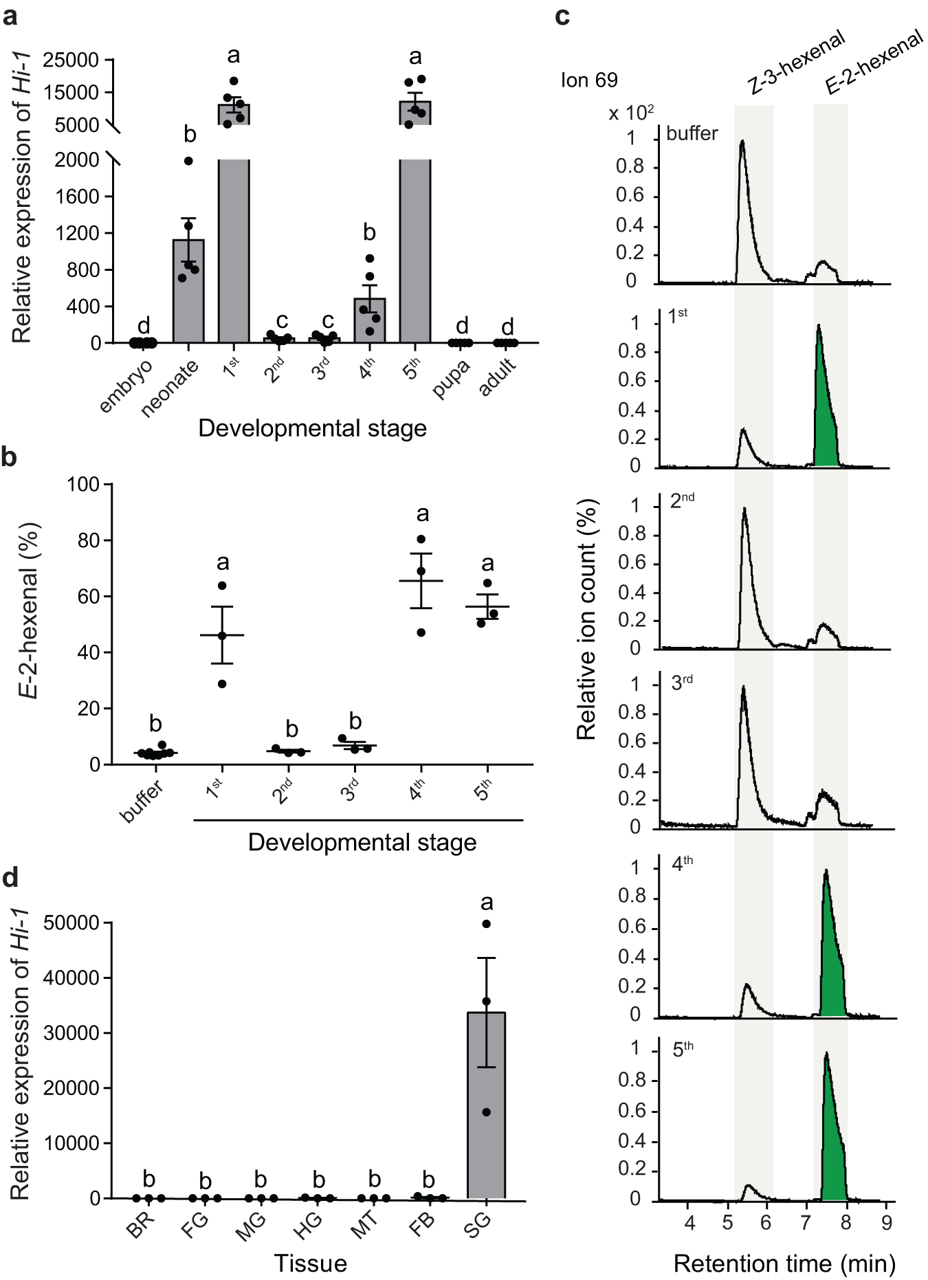 Fig. 4: Hi-1 acts as a salivary (labial) gland-specific gene and is highly expressed at early and late larval stages of M. sexta.