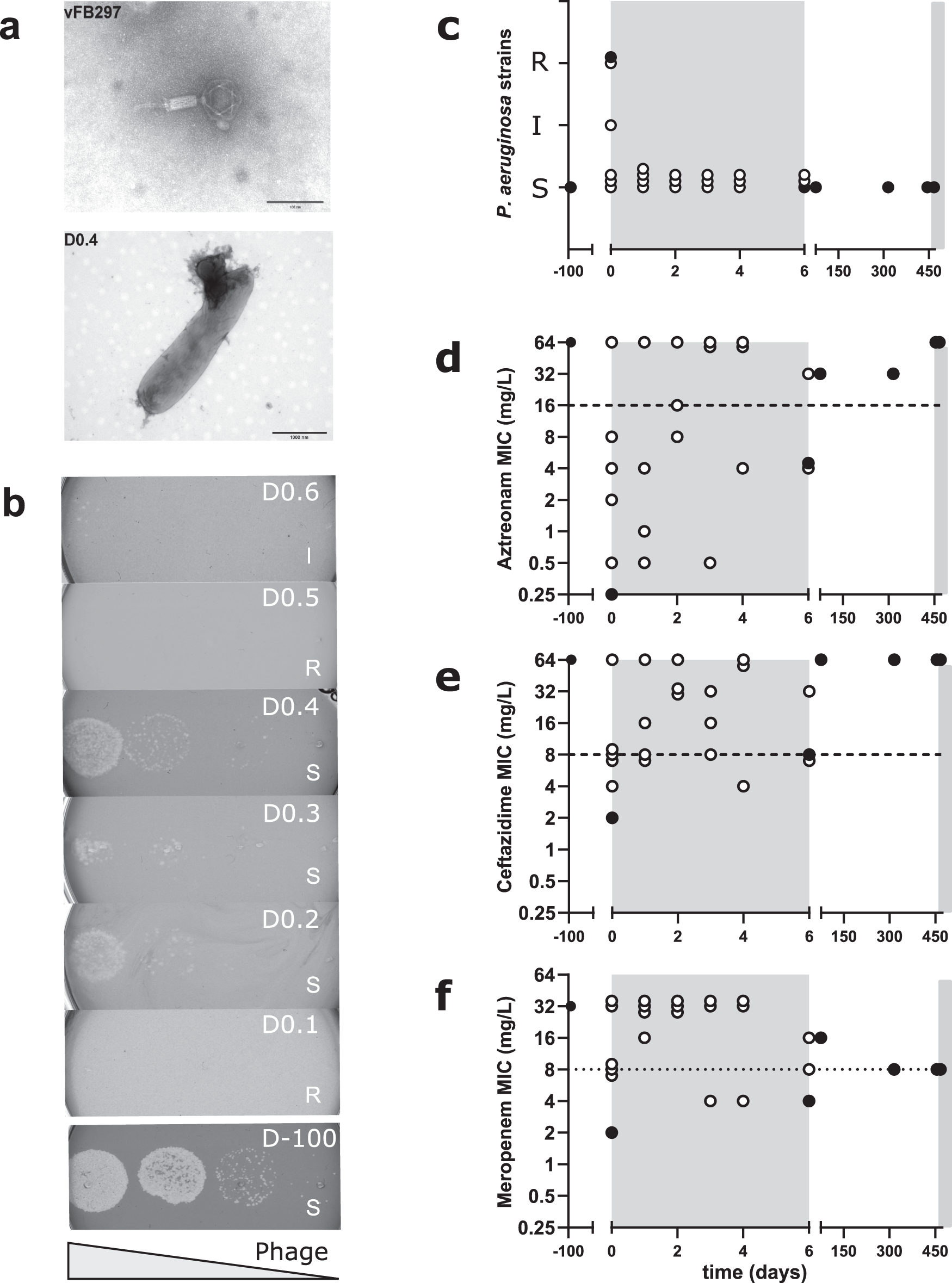 Fig. 3: Susceptibility of P. aeruginosa isolates to phage vFB297 and beta-lactam antibiotics.