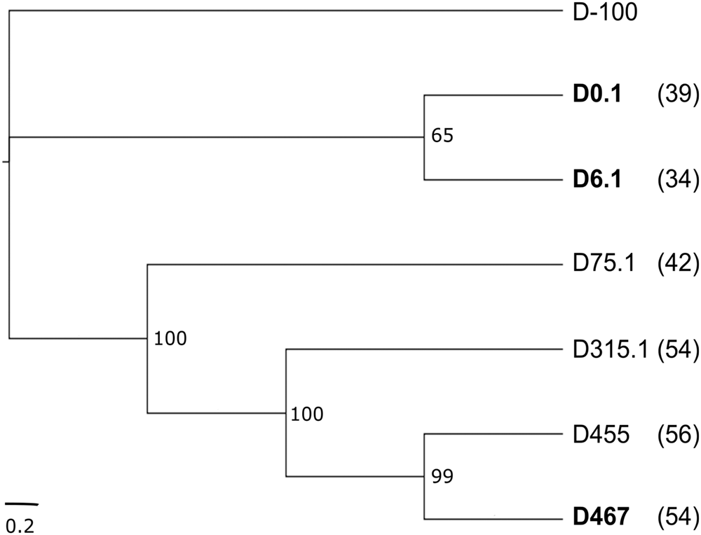 Fig. 4: Phylogeny of patient isolates.