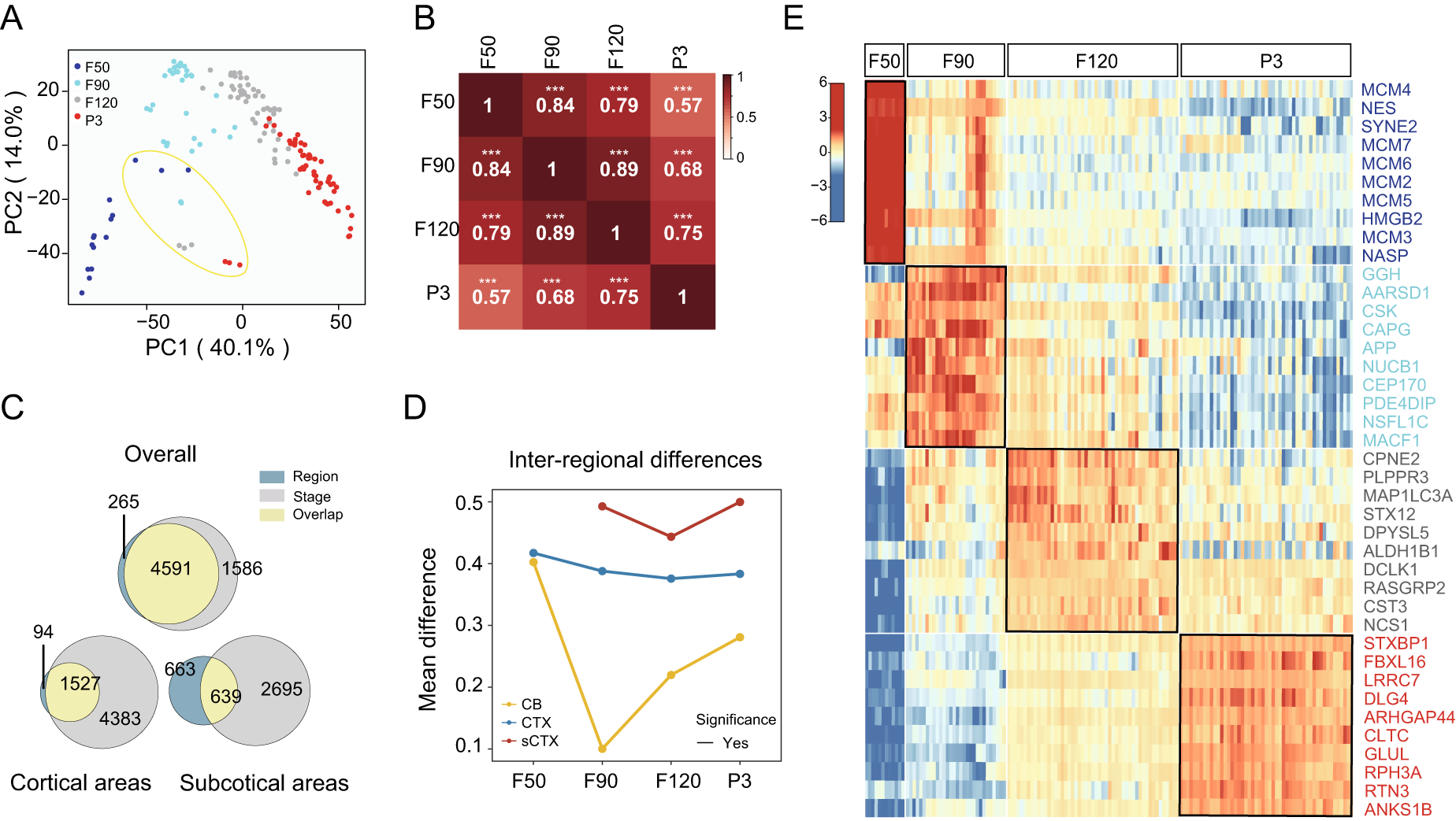 Fig. 2: Significant differences between developmental stages are revealed by spatiotemporal proteomics.