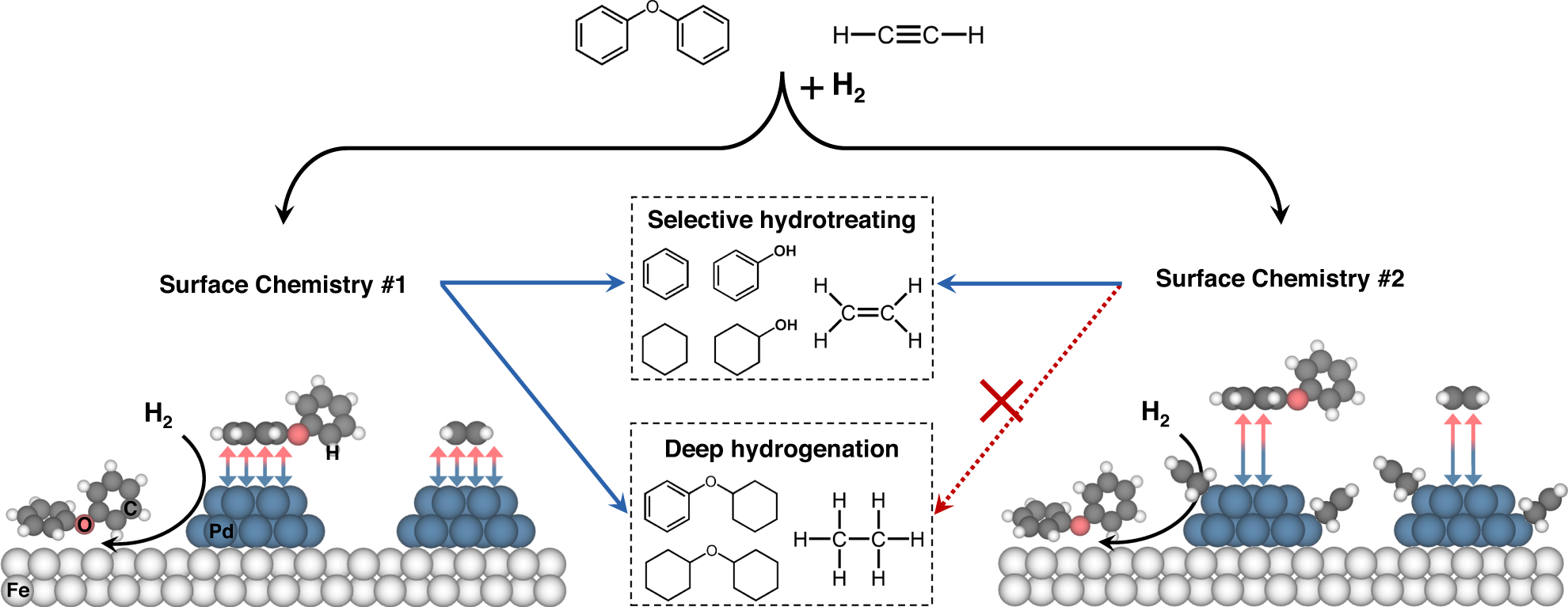 Fig. 5: Schematic overview of the working mechanisms for the selective hydrogenolysis of DPE and selective hydrogenation of acetylene over a catalyst coordinated with alkenyl carbon.