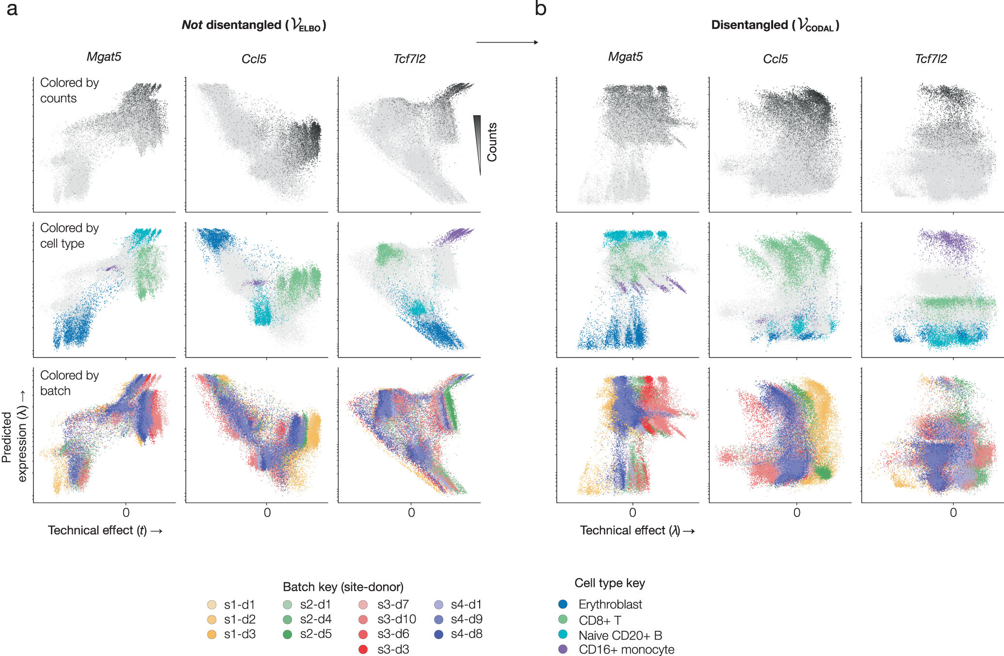 Fig. 2: Mutual information regularization disentangles the influence of biological and technical effects.