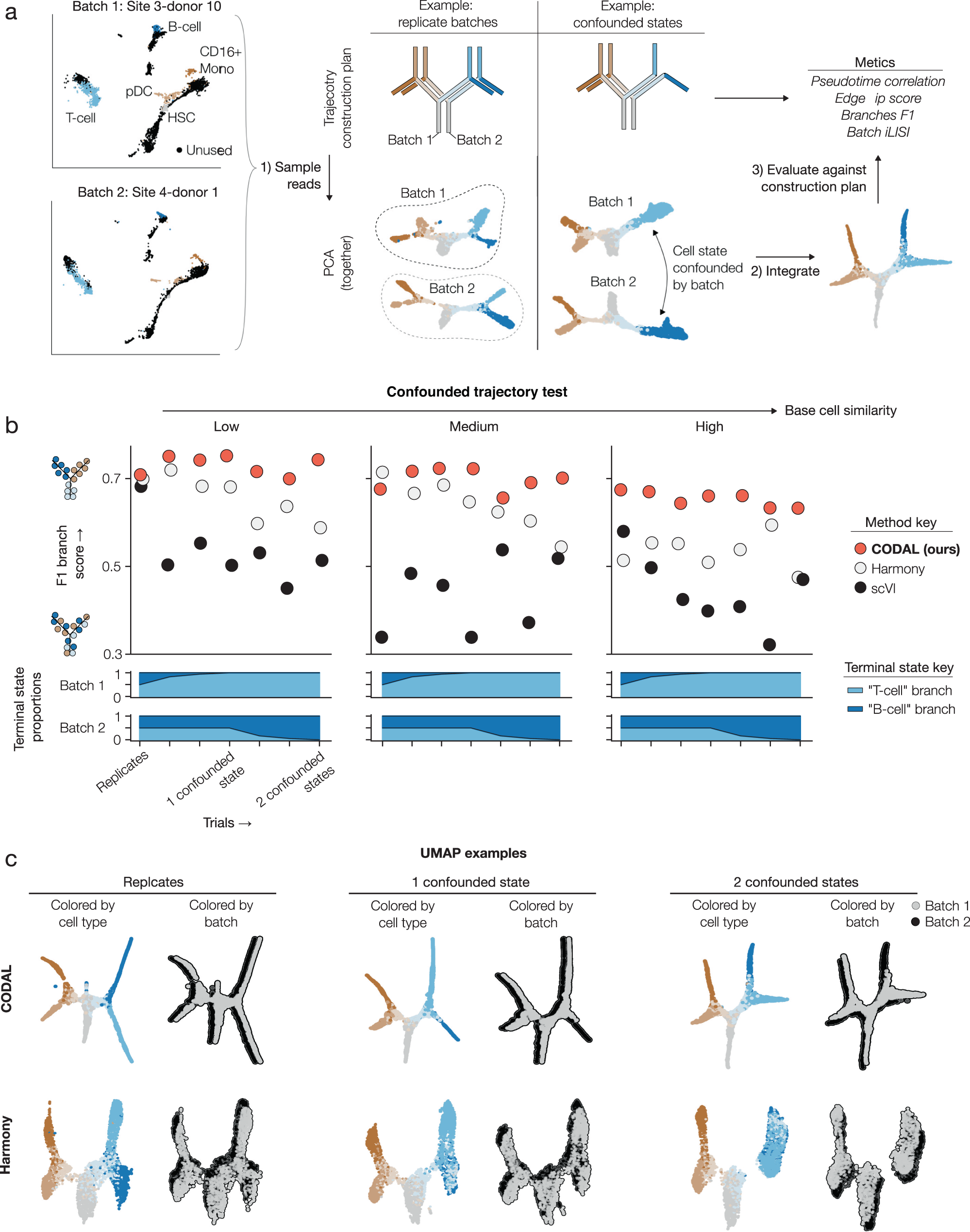 Fig. 5: Mutual information-based disentanglement enables the discovery of batch-confounded cell types.