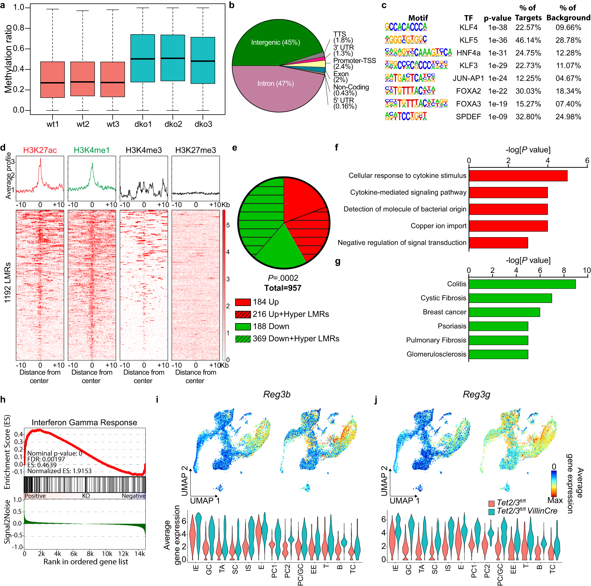 Fig. 5: Loss of TET2/3 induces profound changes at enhancer regions.