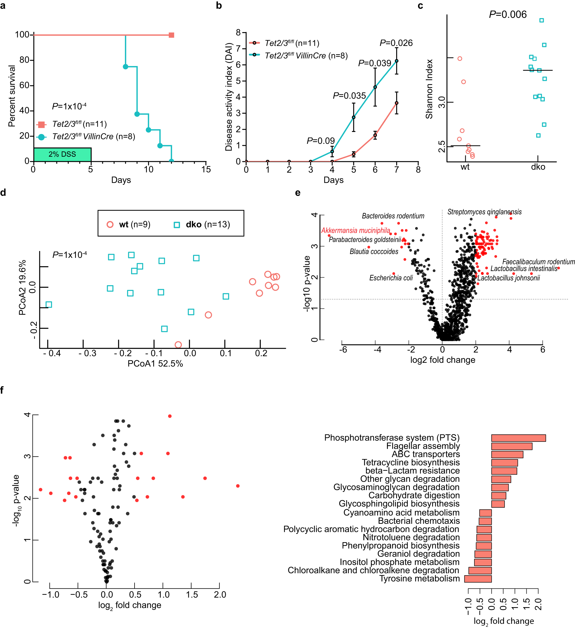 Fig. 8: Altered gut microbiota in TET2/3 dko mice.