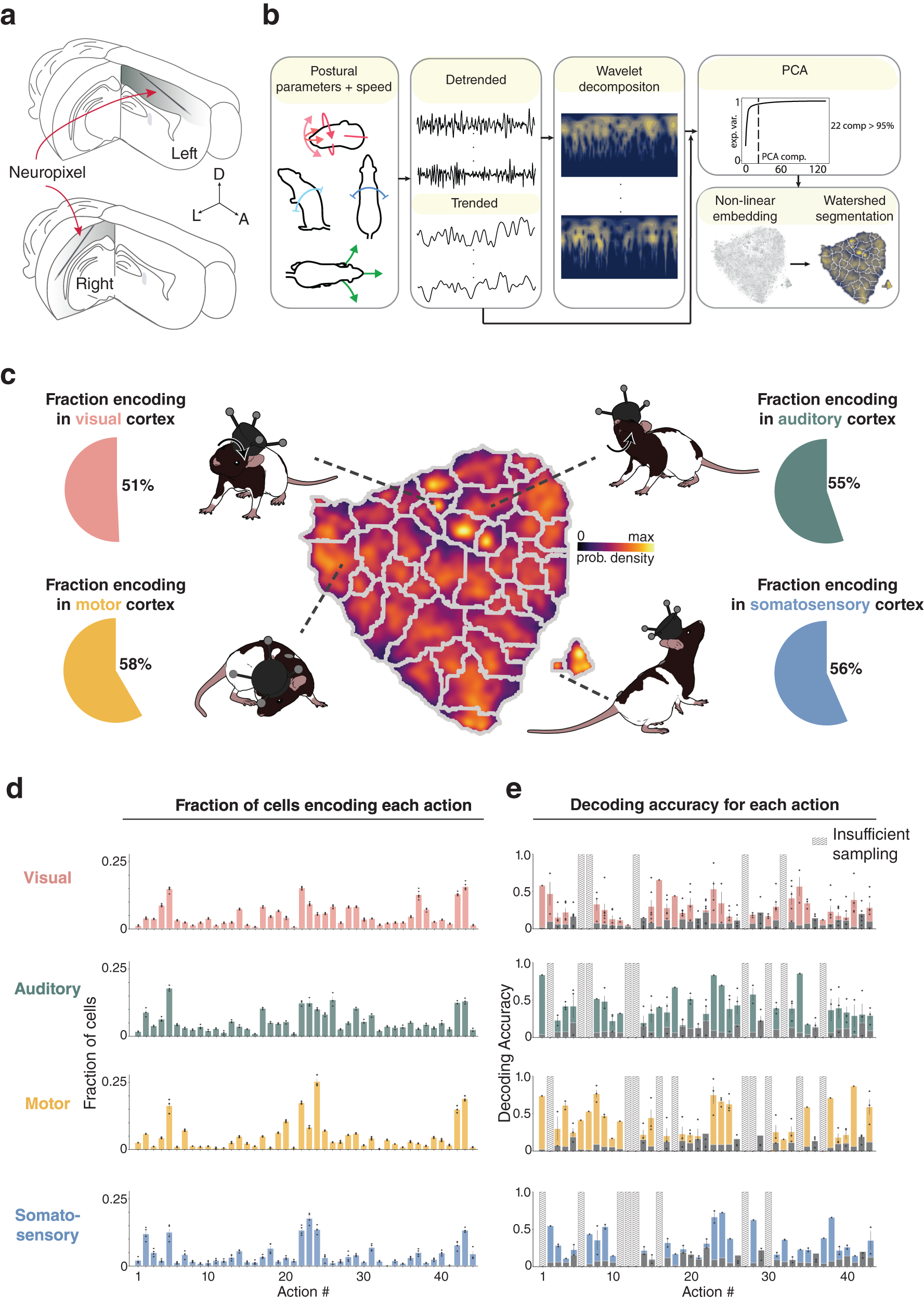 Behavioral decomposition reveals rich encoding structure employed across  neocortex in rats