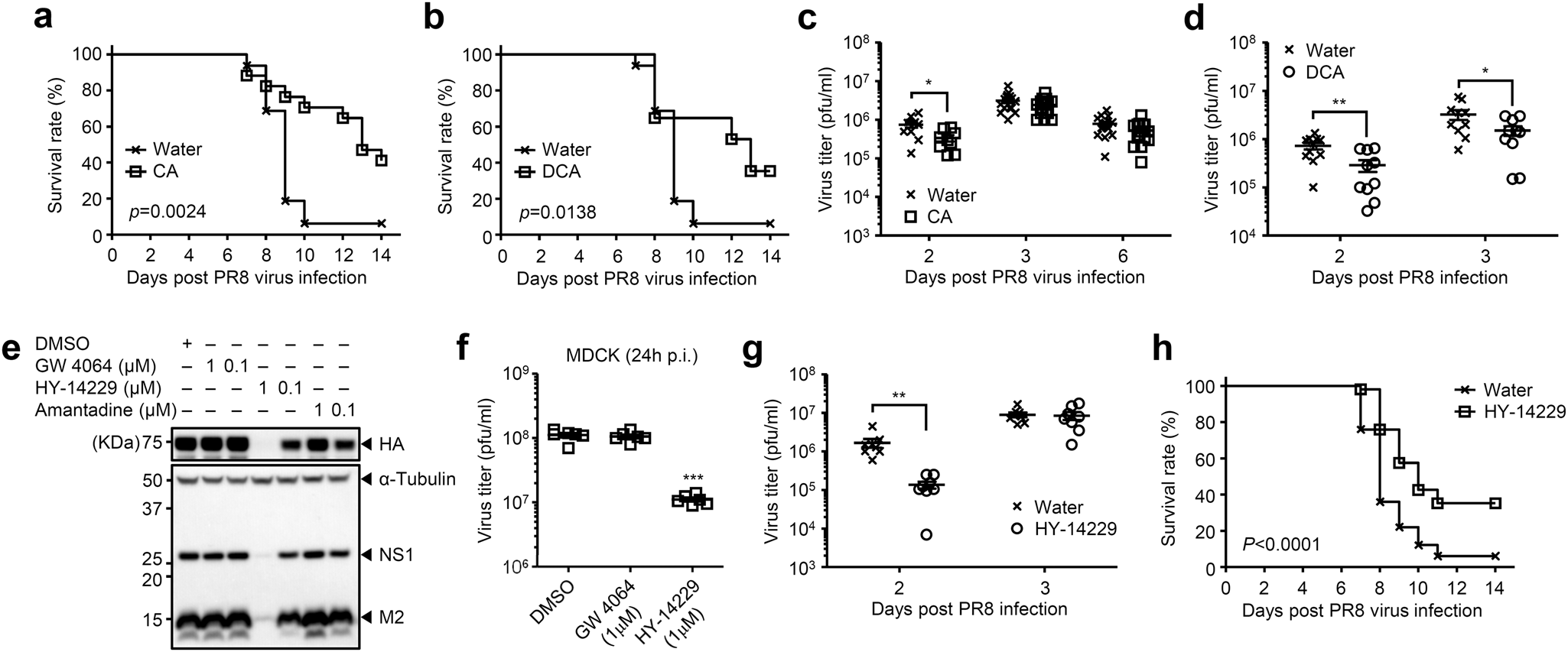 Fig. 3: Bile acids-TGR5 axis protects from influenza virus infection.