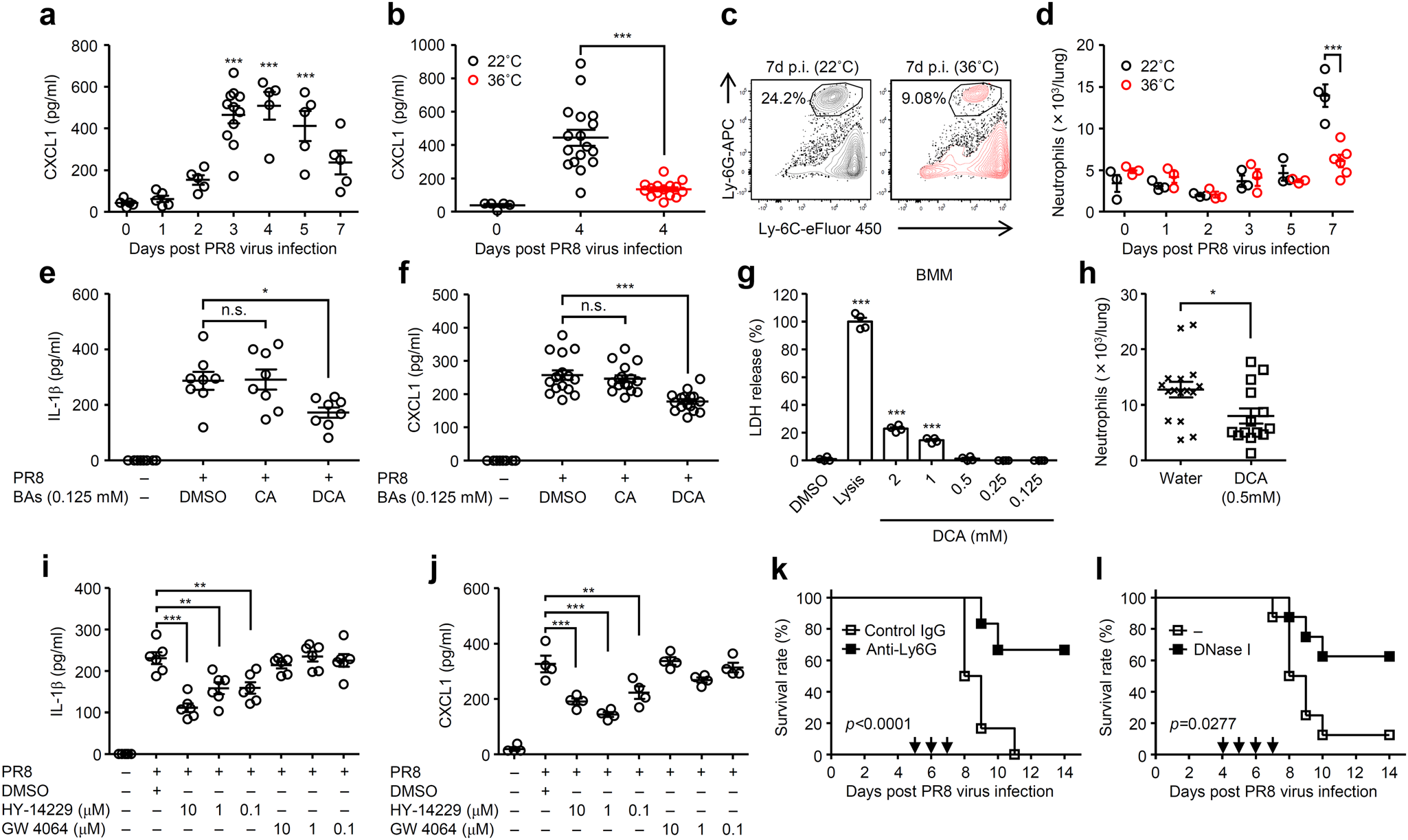 Fig. 4: Bile acids-TGR5 axis inhibits inflammatory responses following influenza virus infection.