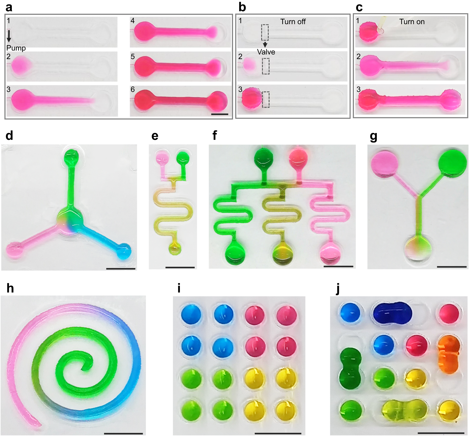 Fig. 4: Liquid manipulation within the fabricated SSCs.