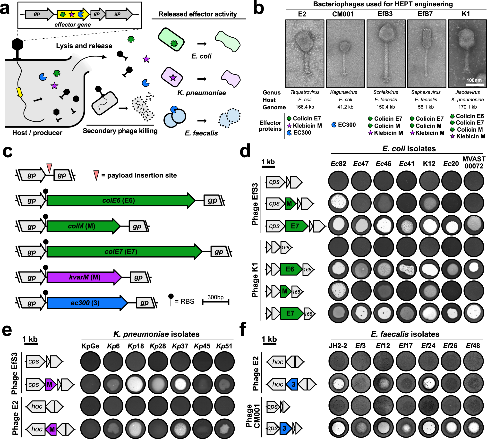 Fig. 1: HEPT construction and assessment of payload activities.