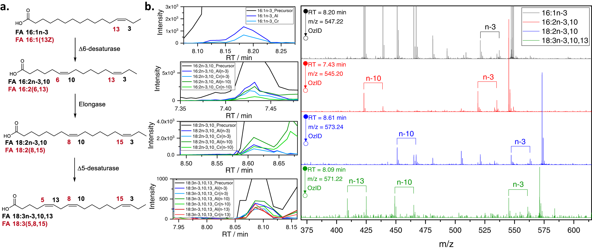 Fig. 4: Discovery of non-methylene-interrupted ω-3 fatty acids in vernix caseosa.