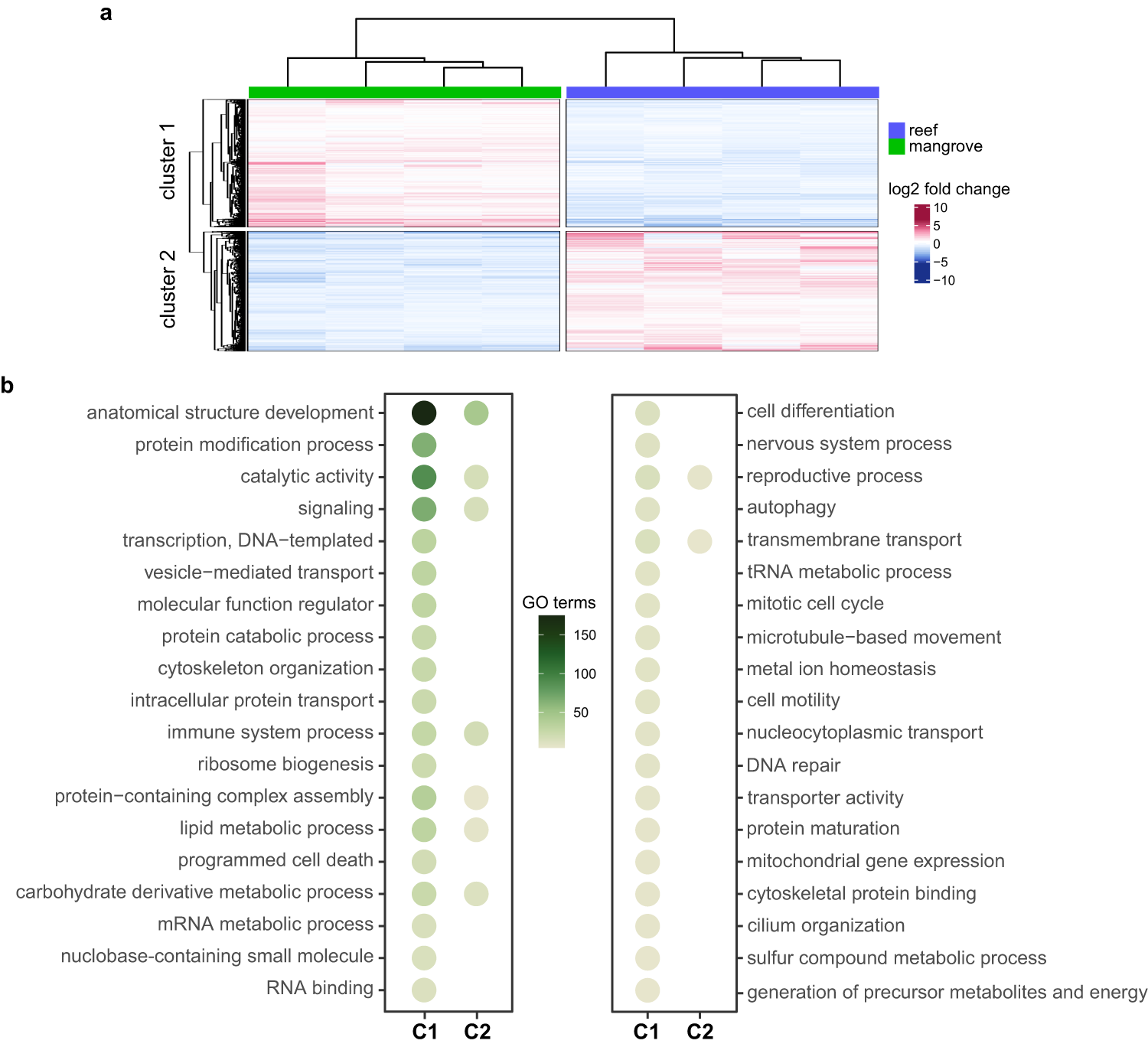 Fig. 2: Gene expression profiles and enriched biological processes between reef and mangrove corals.