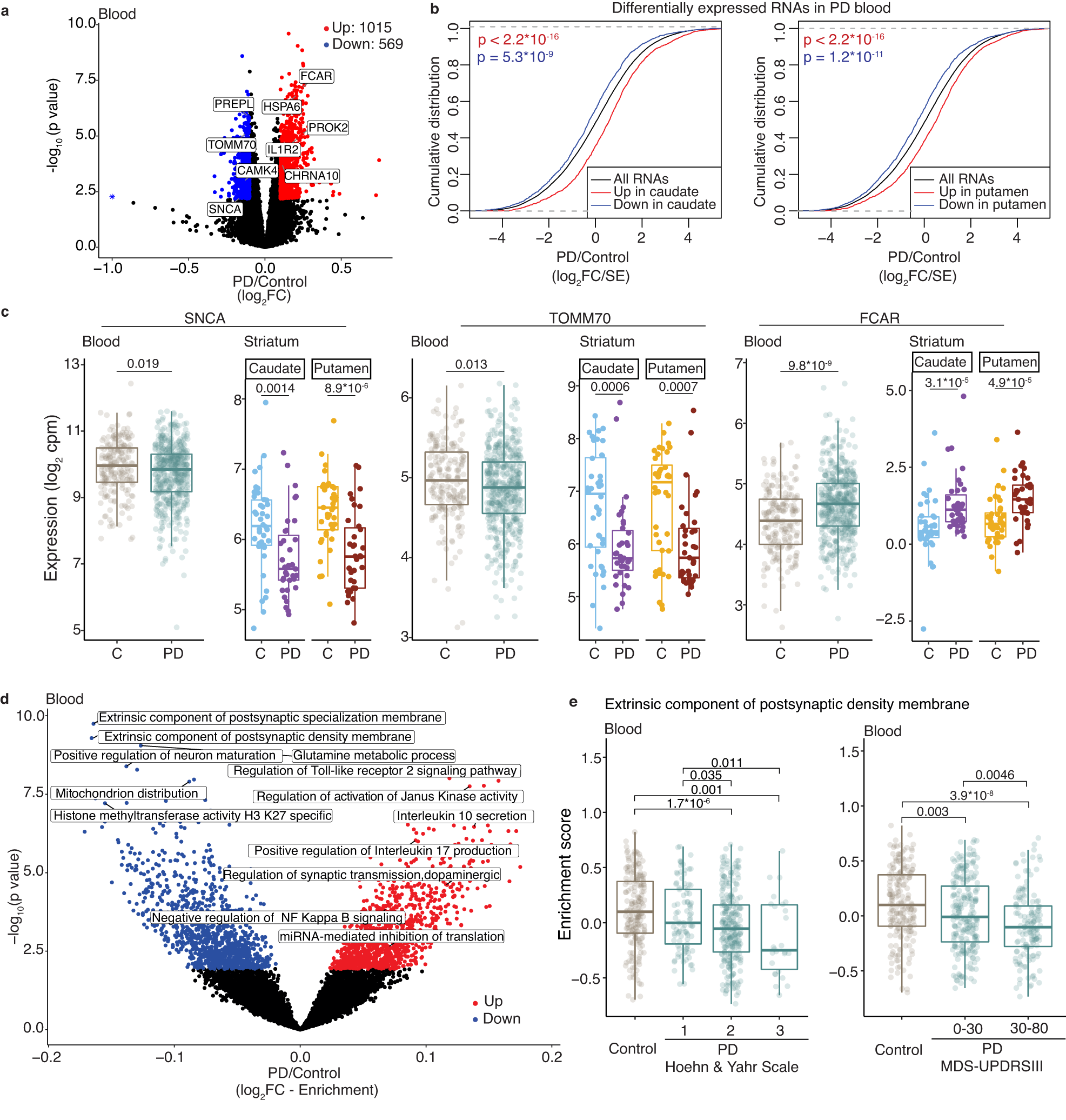 Fig. 2: Concordant RNA changes are seen in the PD brain and blood.