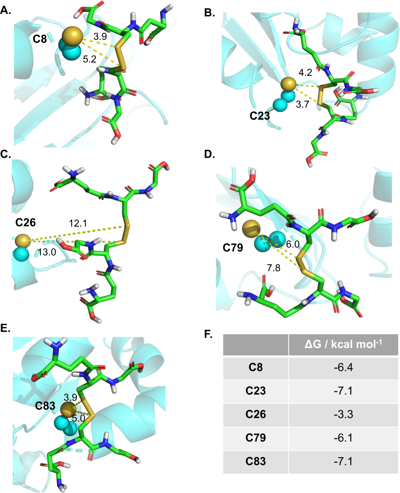Fig. 3: Molecular docking reveals hierarchy of reactivity of GLRX cysteines with GSSG.
