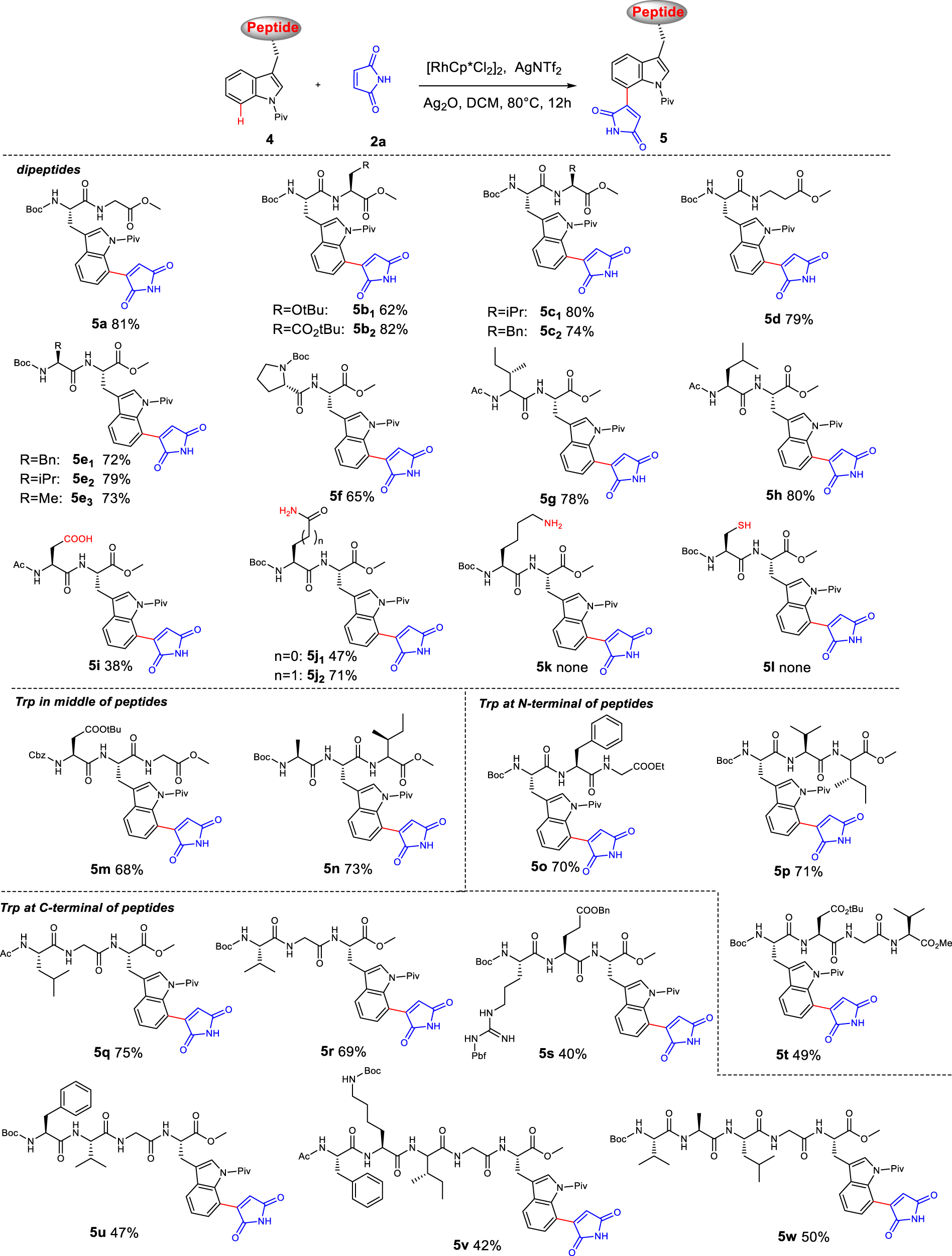 Fig. 3: Substrate scope for maleimidation of dipeptides and complex peptides.