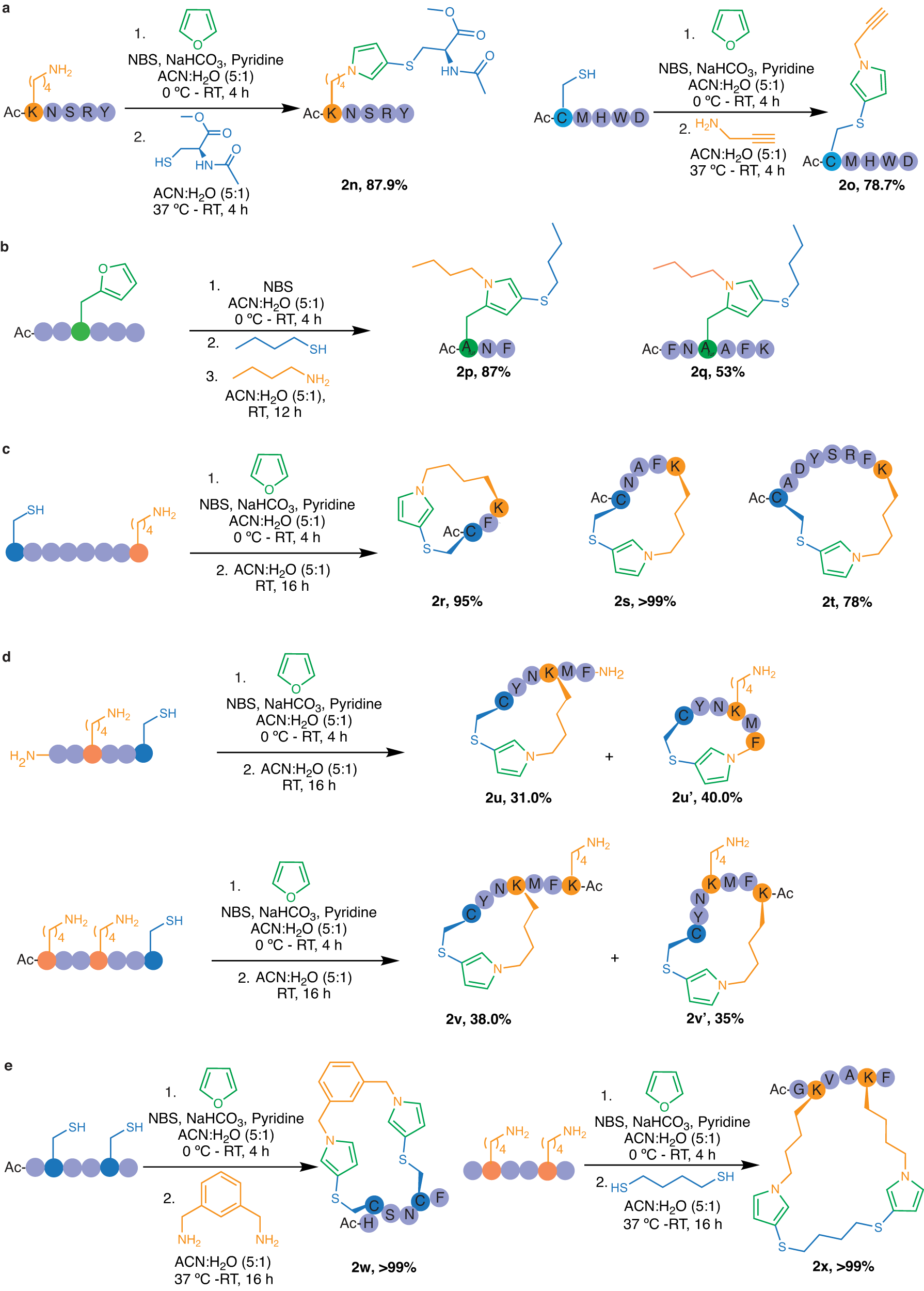 Fig. 4: Furan-thiol-amine (FuTine) multicomponent reaction (MCR) for chemoselective modification and cyclization of peptides.