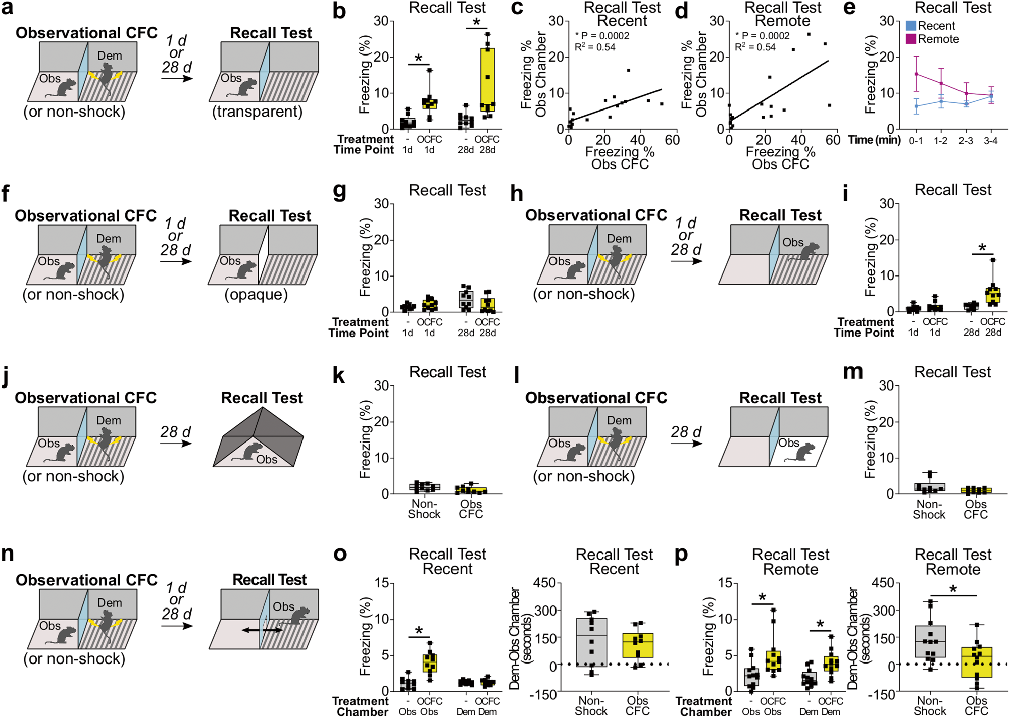 Systems consolidation induces multiple memory engrams for a flexible recall  strategy in observational fear memory in male mice