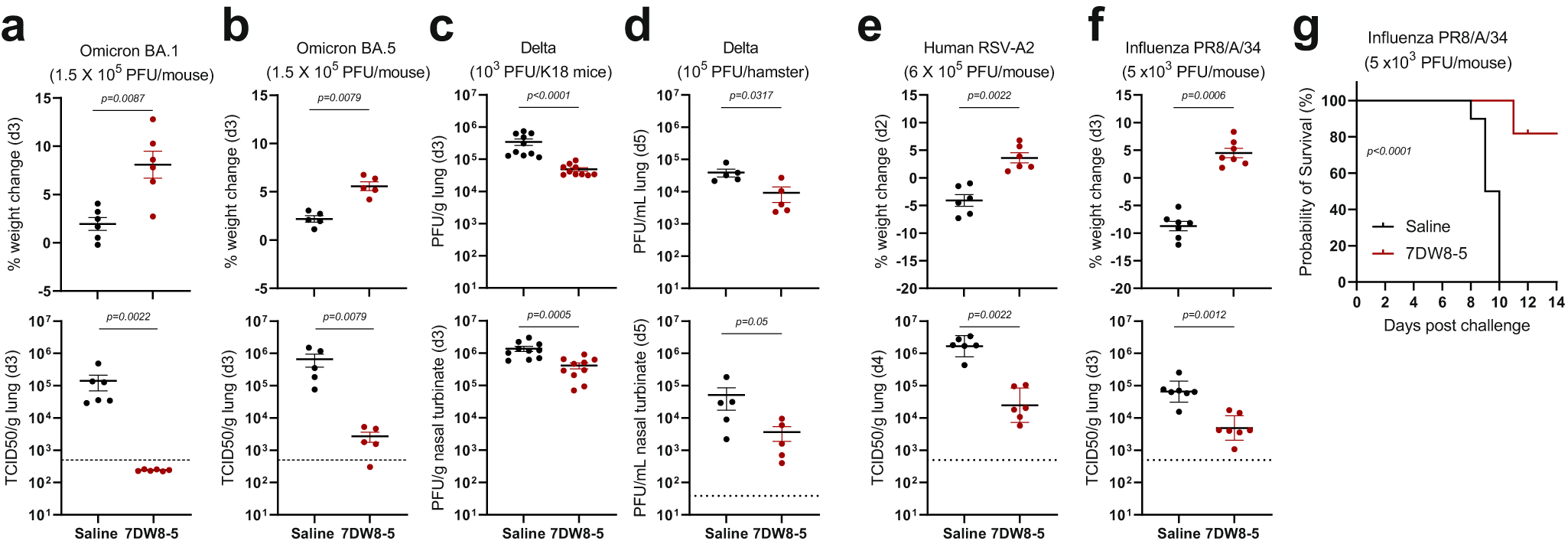 Fig. 2: 7DW8-5 has a broad antiviral activity against three different RNA viruses.