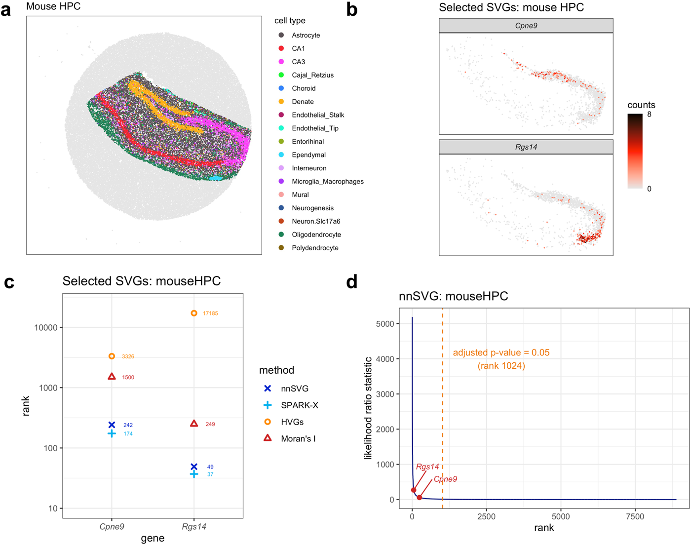 Fig. 2: nnSVG recovers biologically informative SVGs within spatial domains.