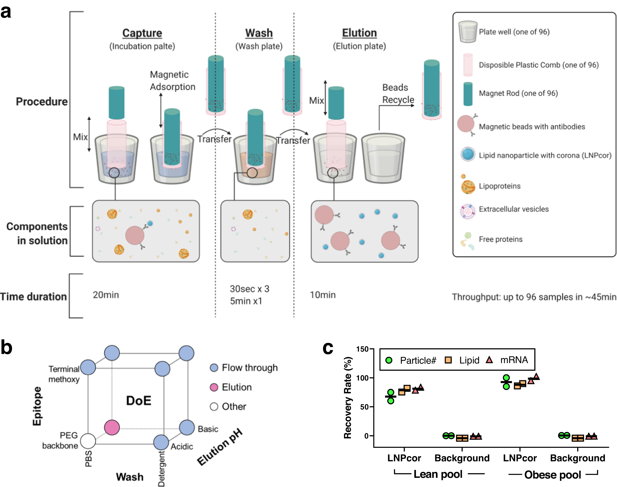 Fig. 2: The development of affinity-based magnetic isolation of LNPcor complexes.