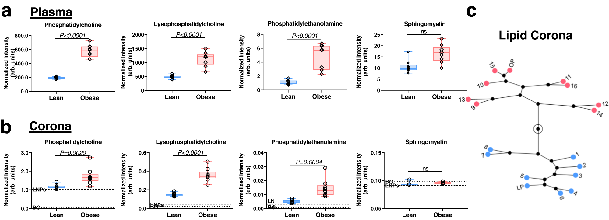 Fig. 4: The lipidomics profile of corona lipids.