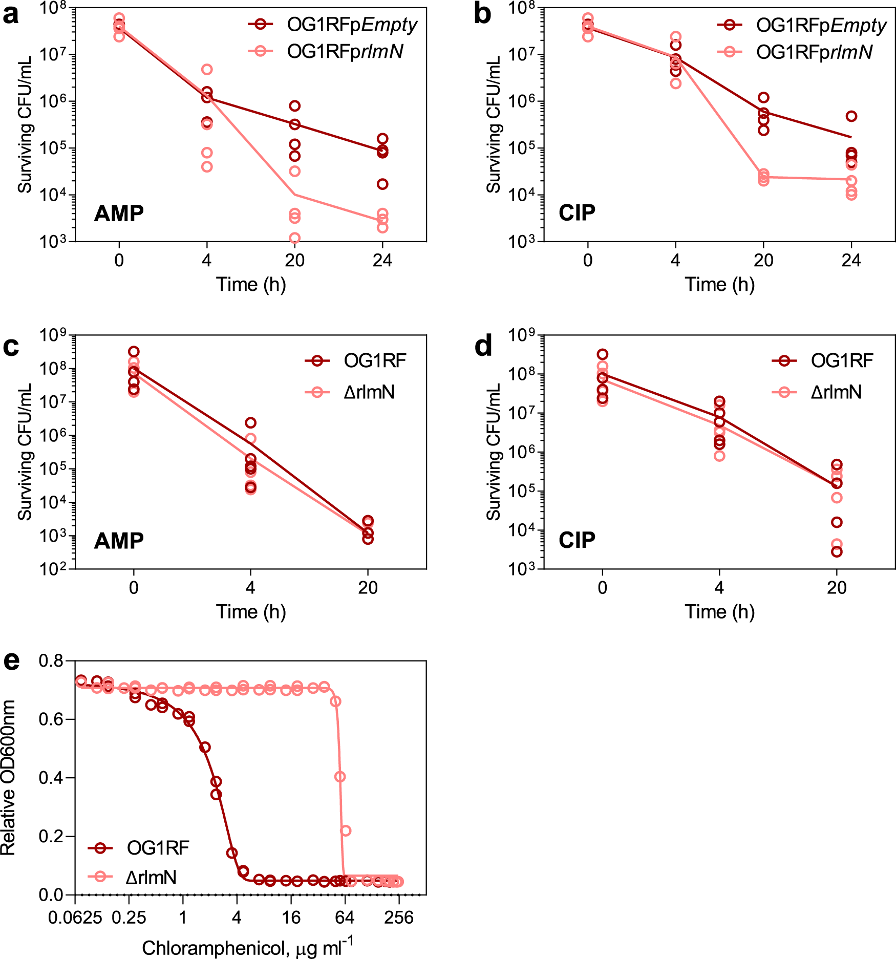 Fig. 4: Phenotypic characterization of rlmN KO (ΔrlmN) and over-expressed RlmN (OG1RFprlmN).