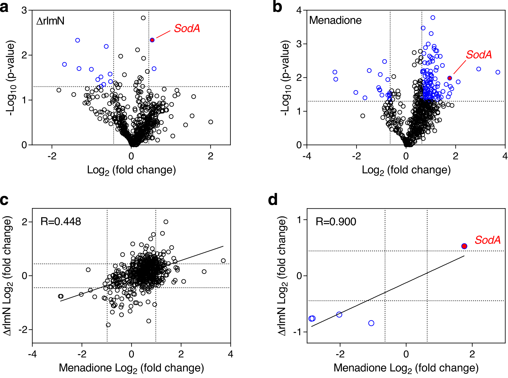 Fig. 5: Loss of rlmN and treatment with menadione cause similar changes in the OG1RF proteome.