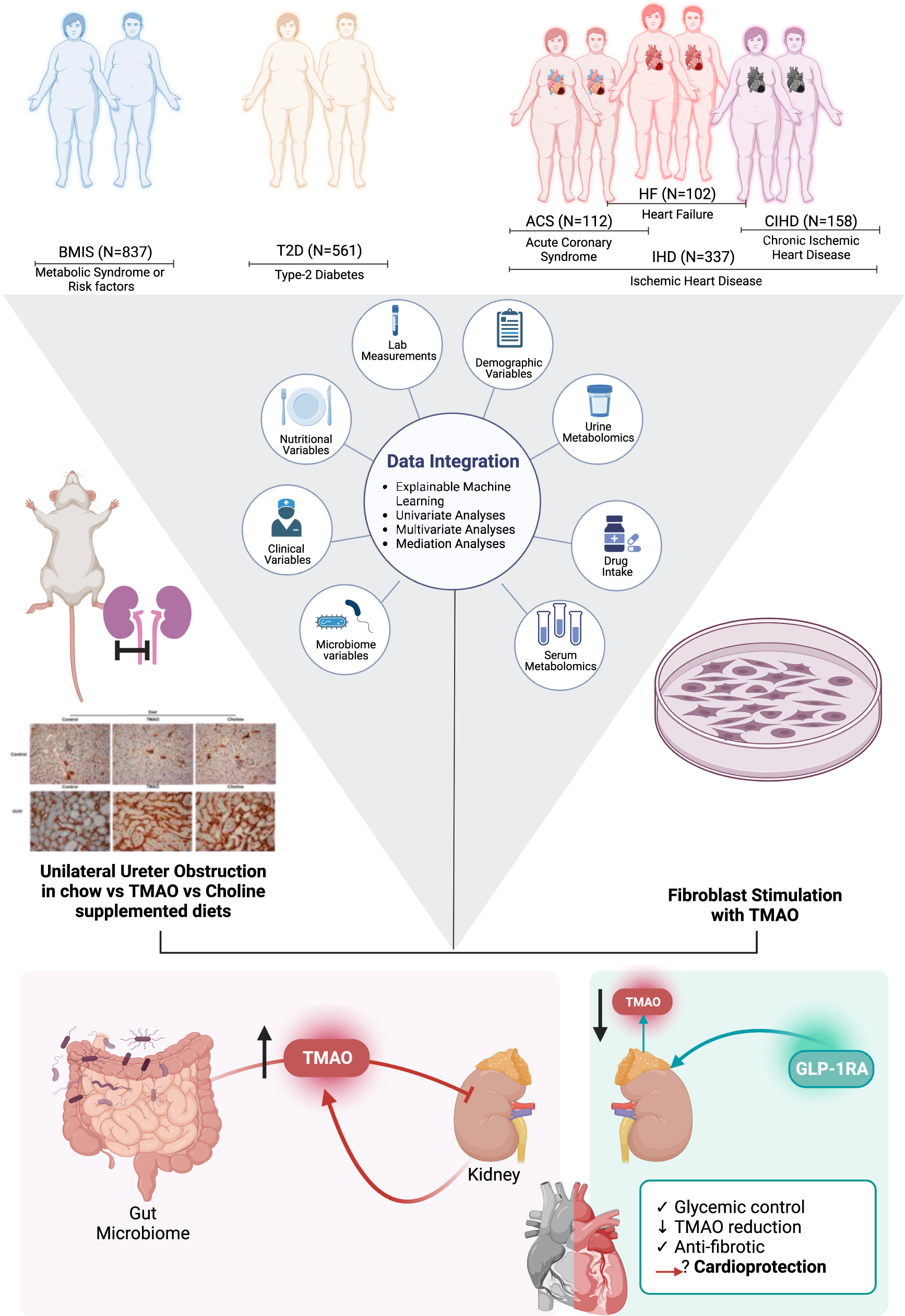 Egg Consumption Shown to Impact Predictive Value of Diagnostic